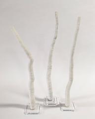 Giant Tube Worm Coral Specimen on Lucite Mount, Set of Three