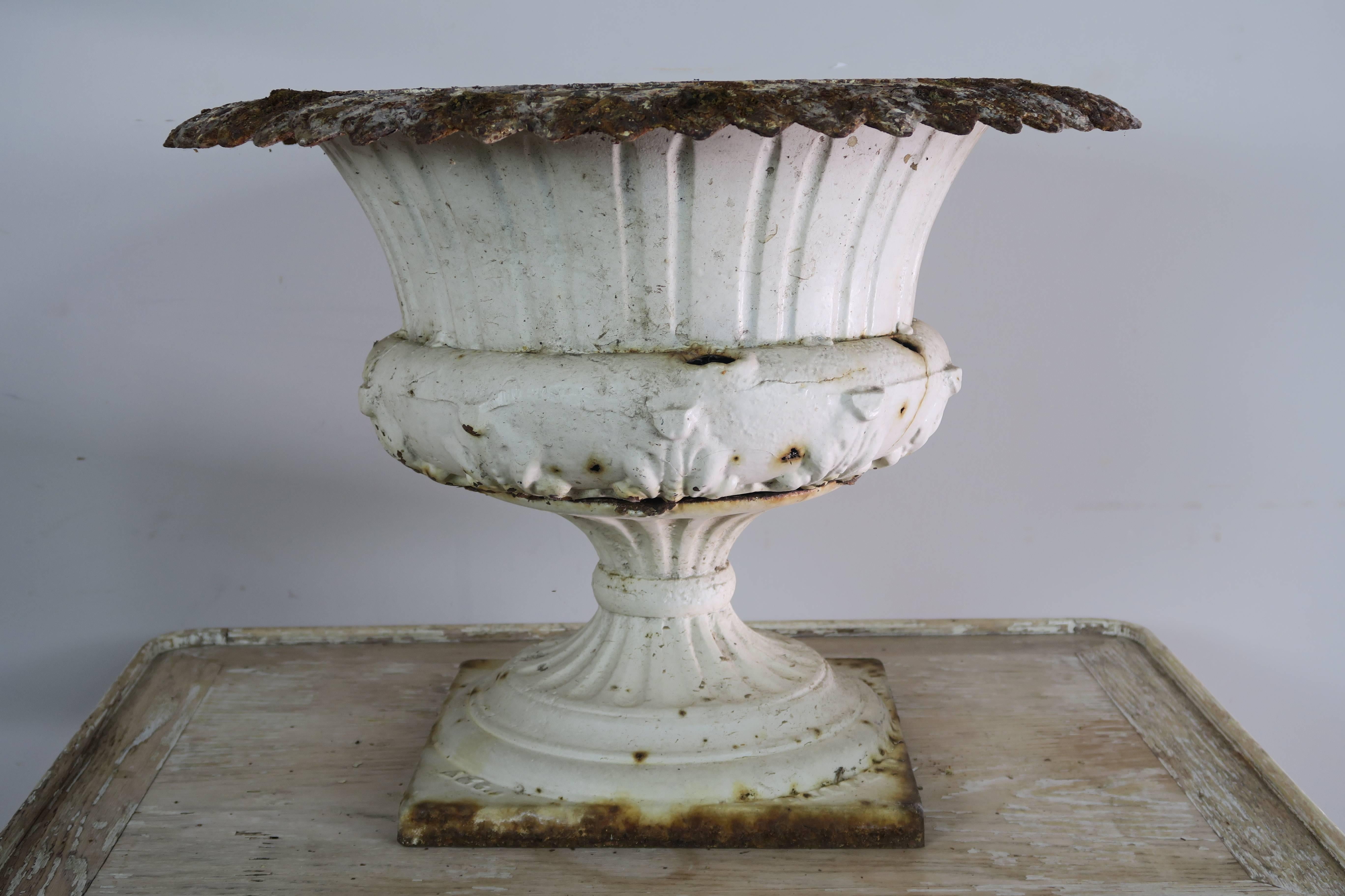 19th century French painted cast iron urn with beautiful scalloped edge detail.