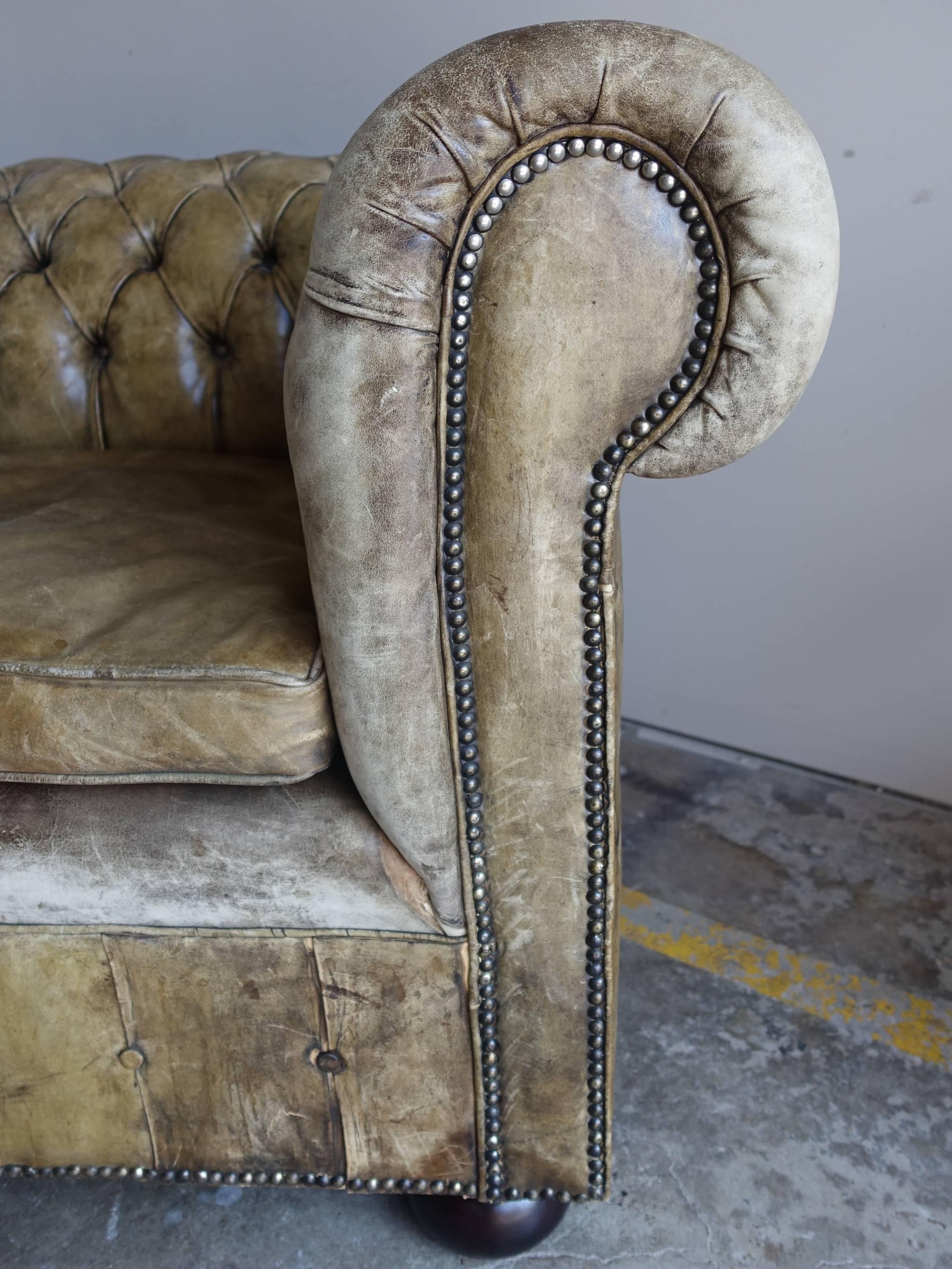 Wood English Chesterfield Leather Sofa, circa 1900