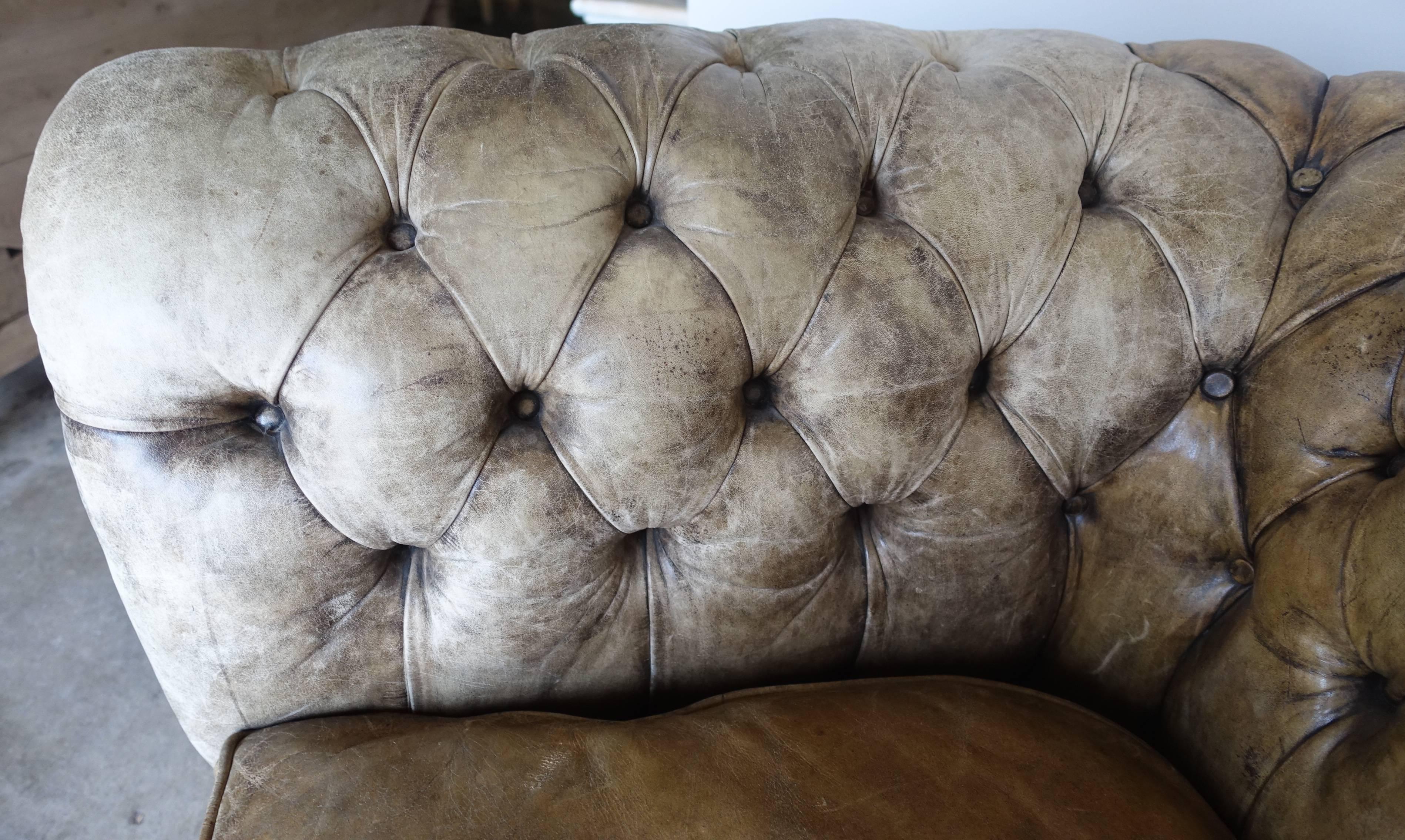 English Chesterfield Leather Sofa, circa 1900 1