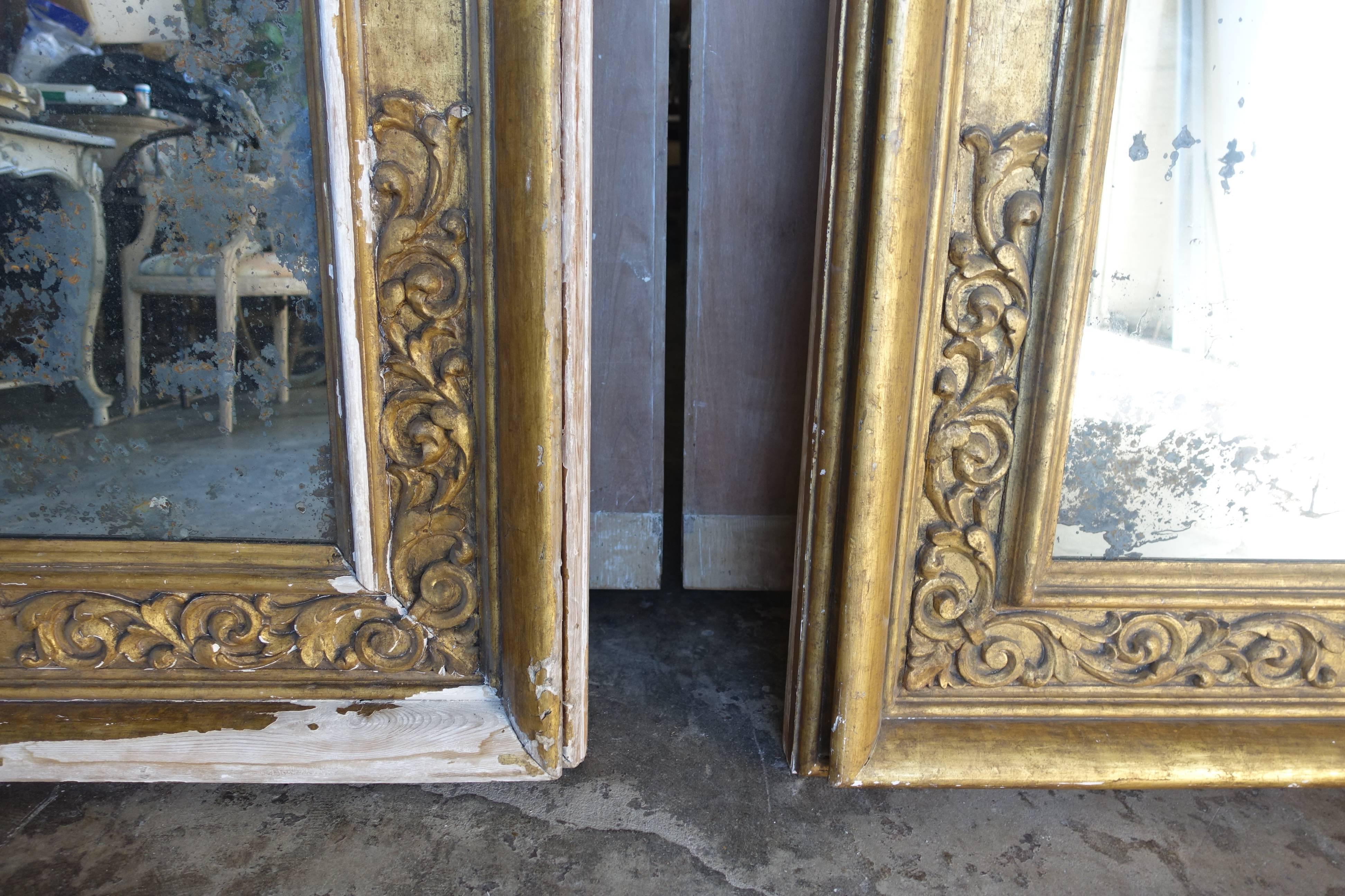 Pair of 19th Century Italian Giltwood Mirrors 3