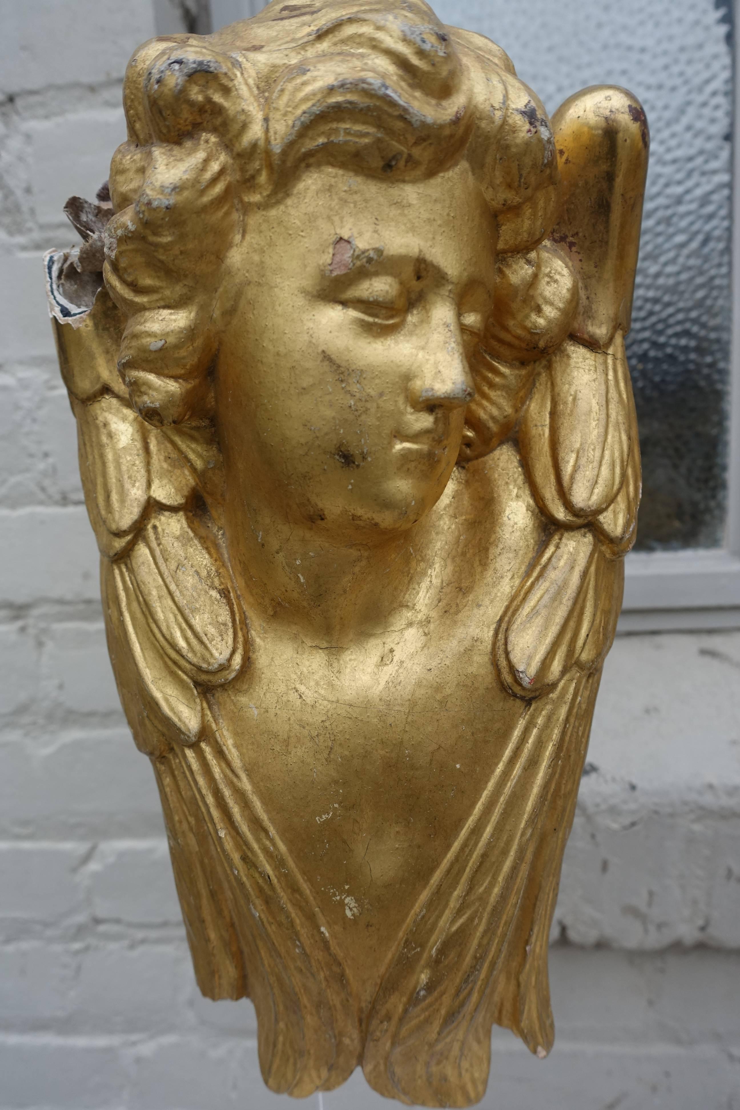 Pair of 19th century gold leaf cherubs on Lucite bases. They seem to be layers of thick gold over gesso and paper. Beautiful, serene faces.