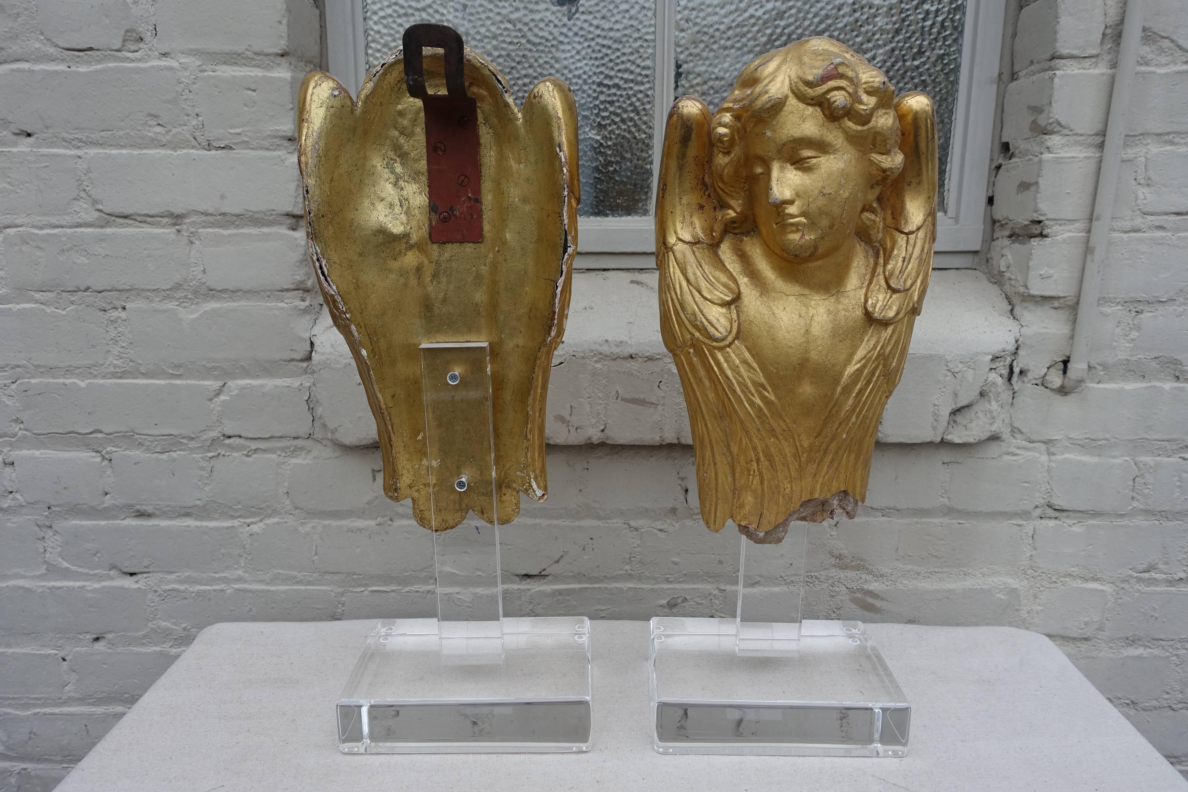Pair of 19th Century Gold Leaf Cherubs on Lucite Bases 1