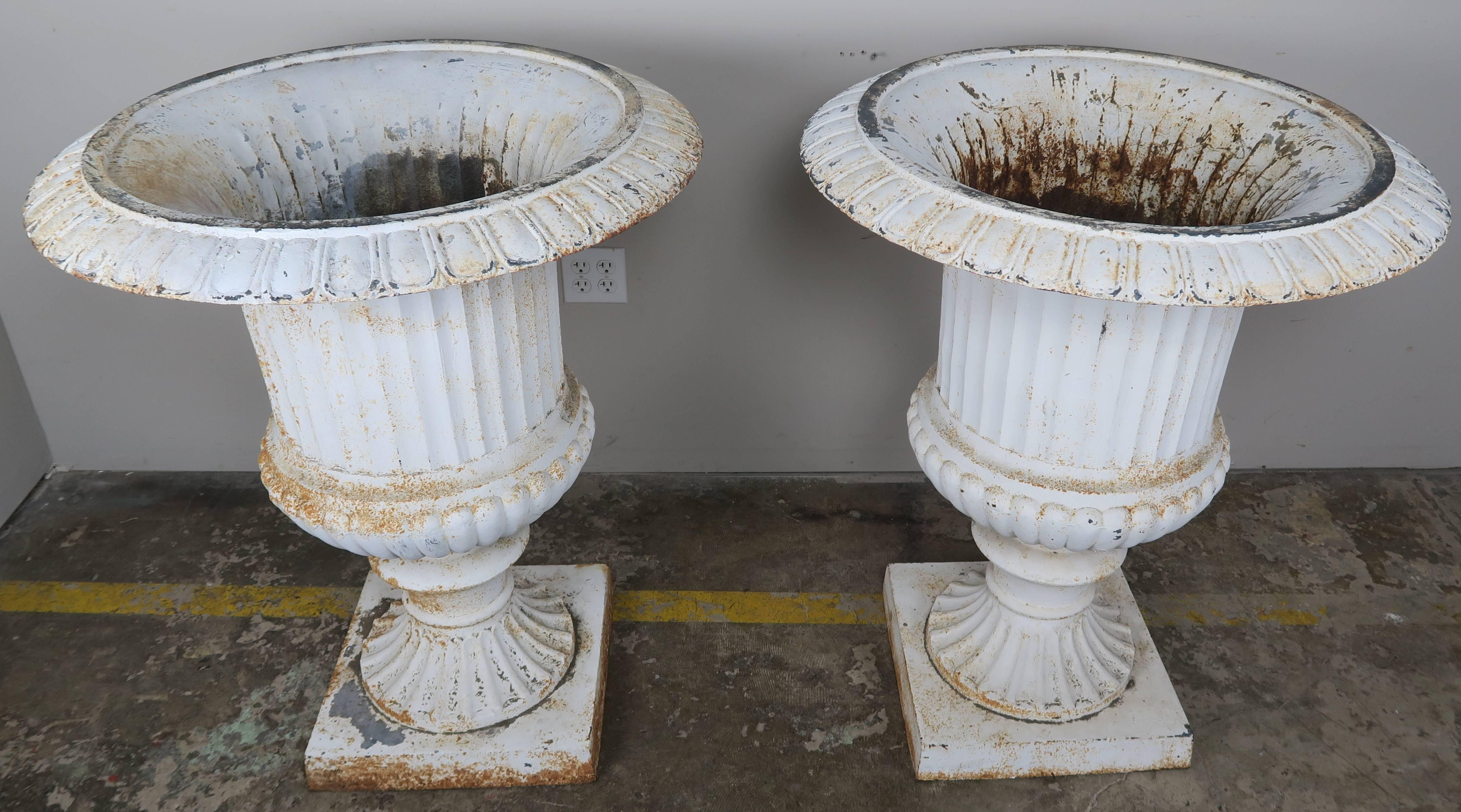 Neoclassical Monumental Painted Cast Iron Planters, Pair