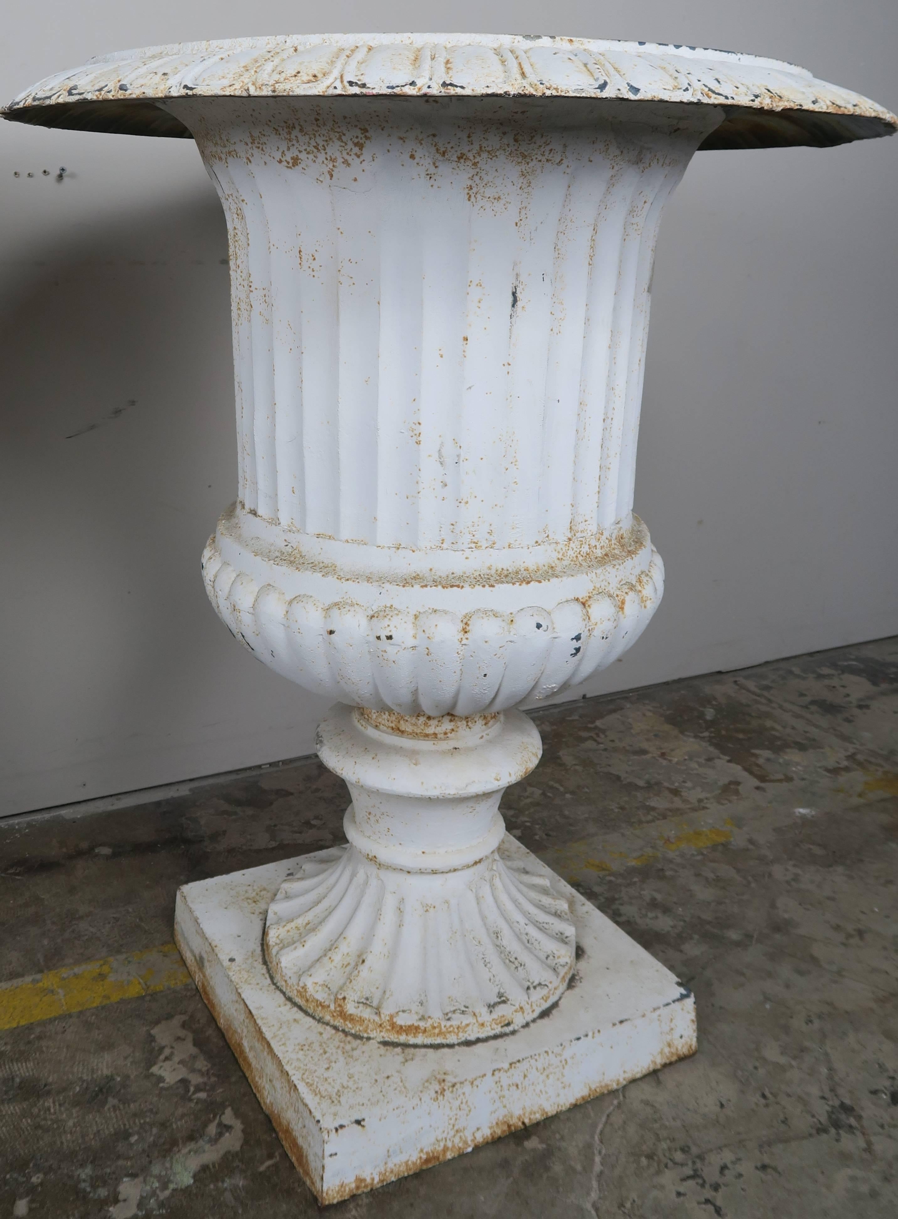 Mid-20th Century Monumental Painted Cast Iron Planters, Pair