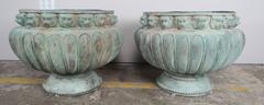 Pair of French Bronze Jardinières with Lion Head Detailing