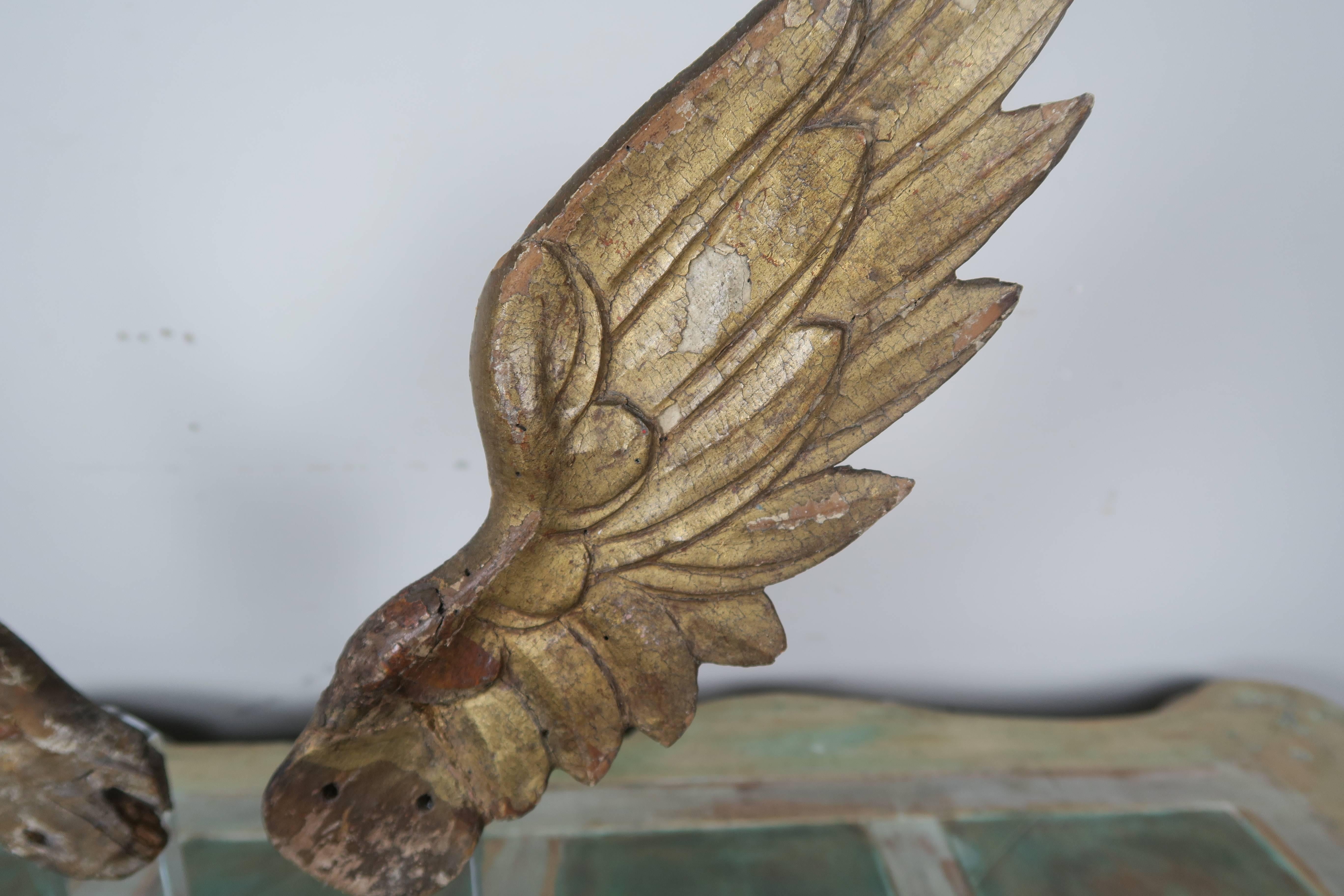 Renaissance Pair of 19th Century Giltwood Wings on Lucite Base