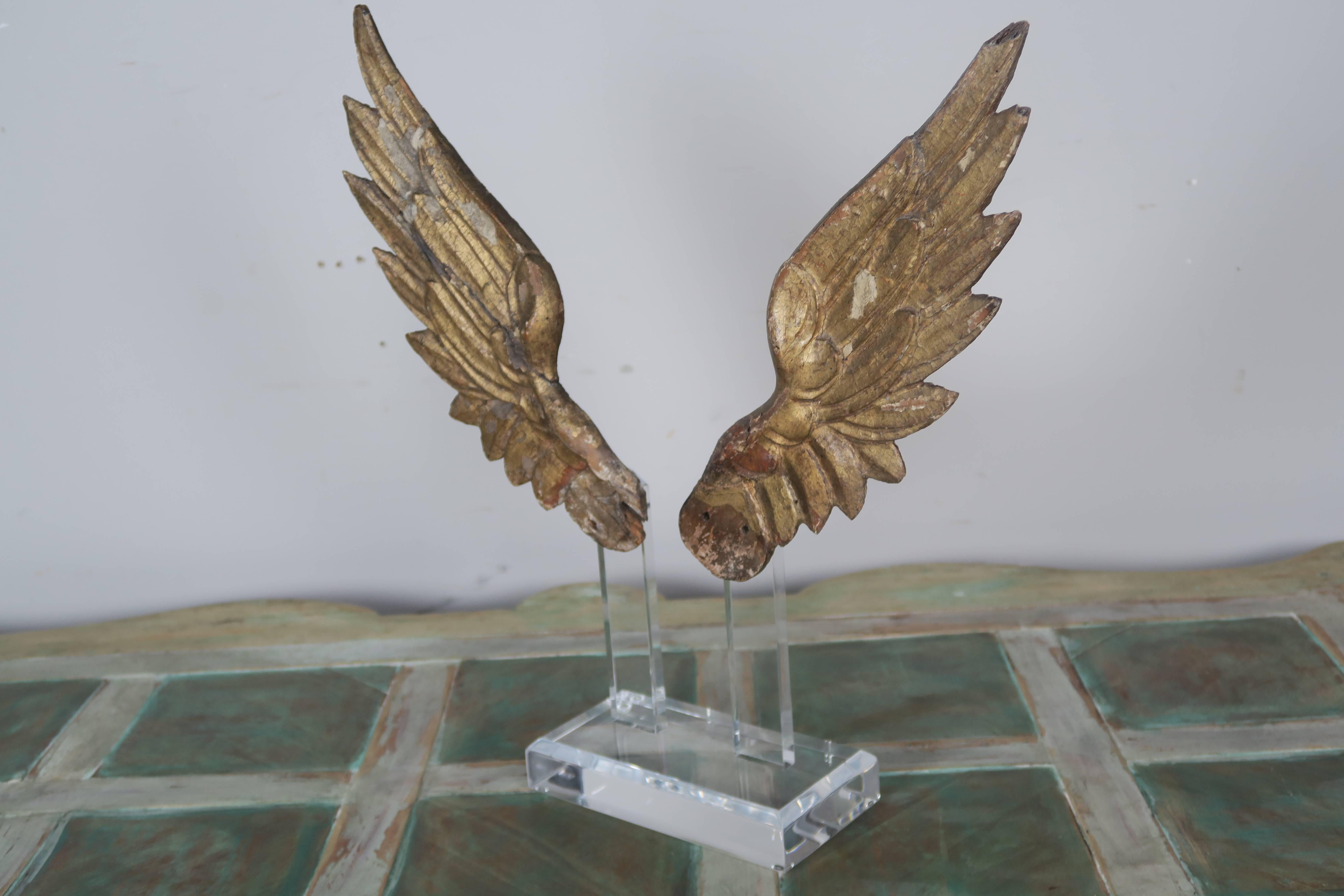 Pair of 19th century giltwood Italian wings mounted on a single rectangular Lucite base with beveled detail.