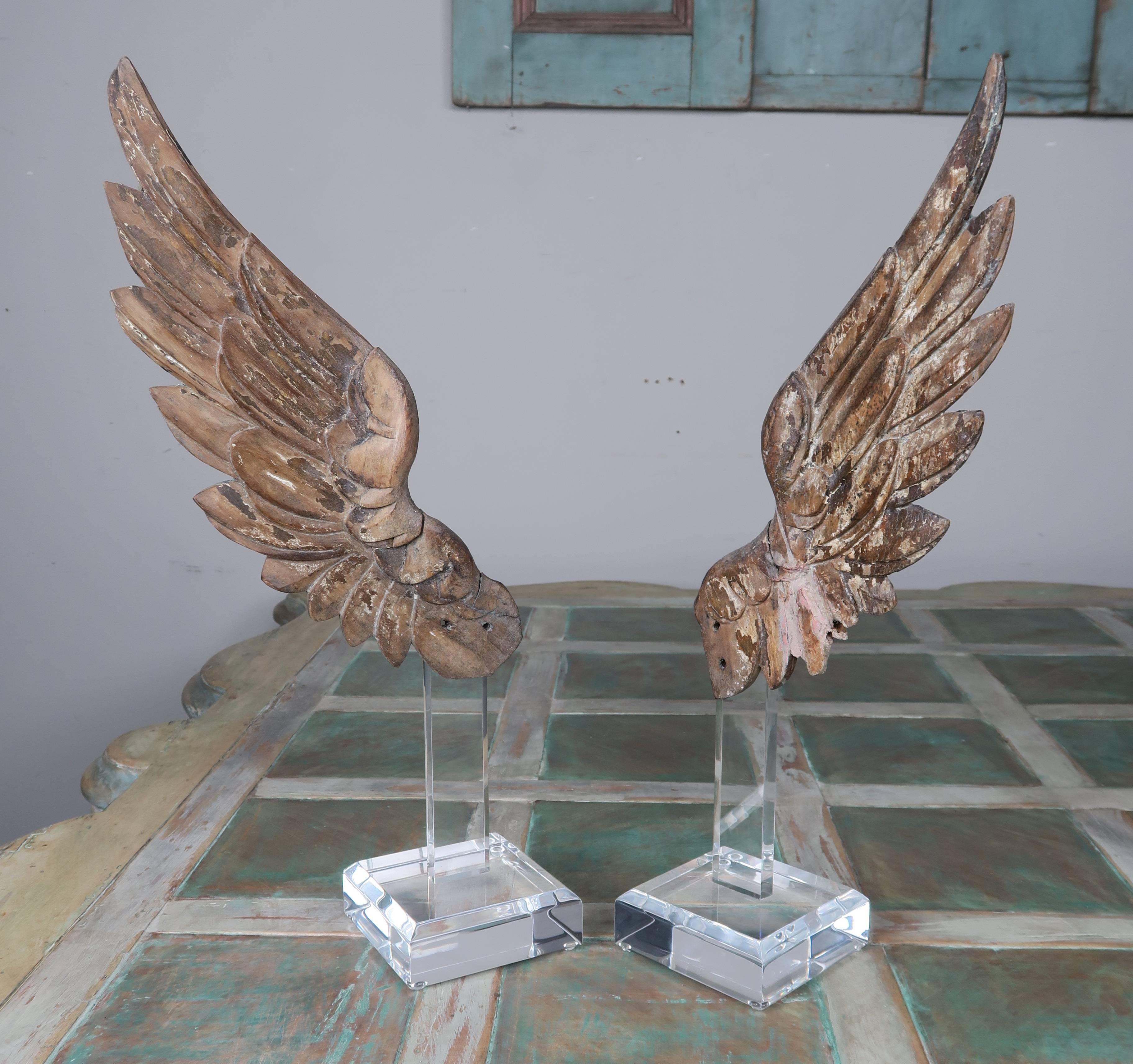 Pair of 19th Century Giltwood Wings on Lucite Base In Distressed Condition In Los Angeles, CA