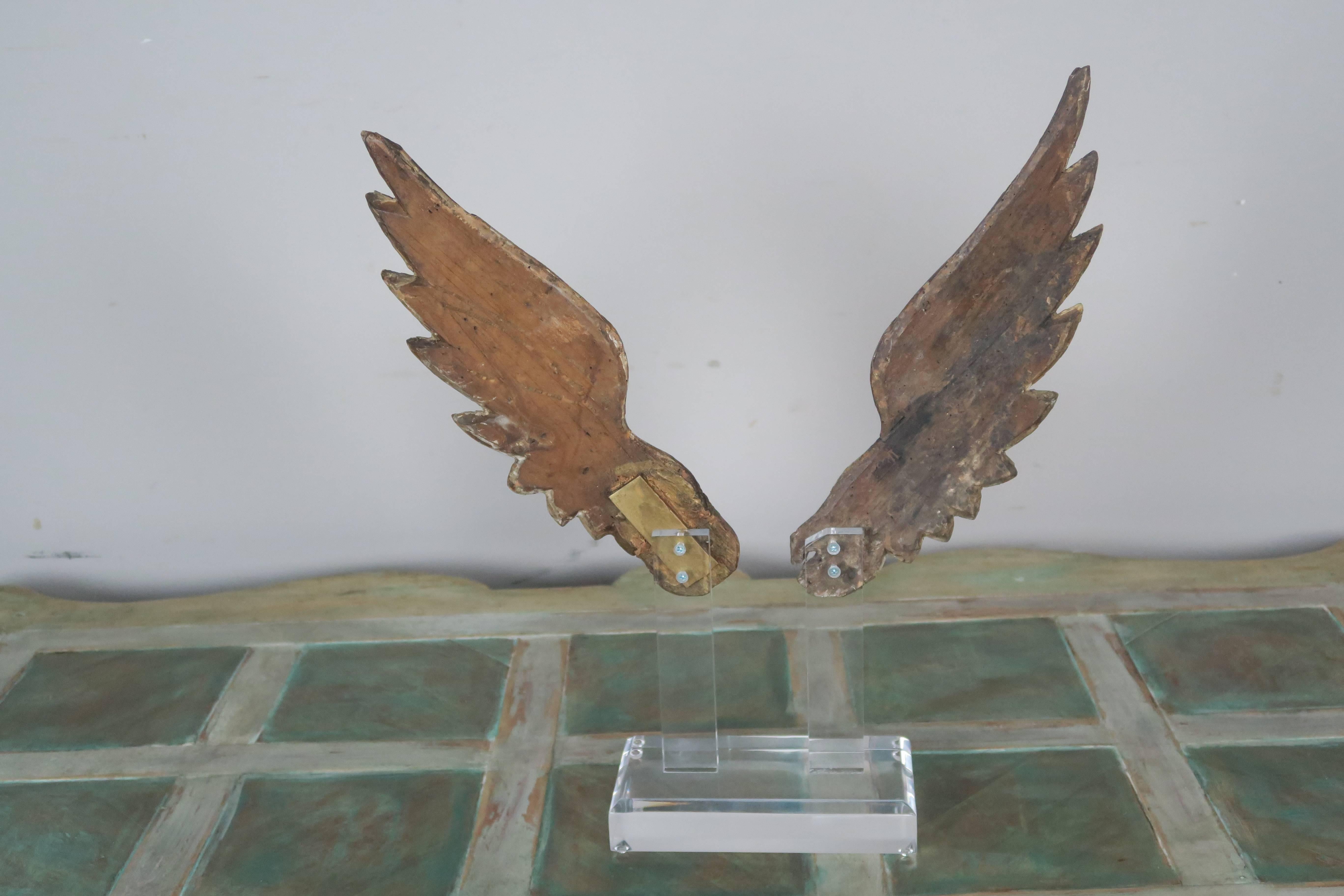Pair of 19th Century Giltwood Wings on Lucite Base 1