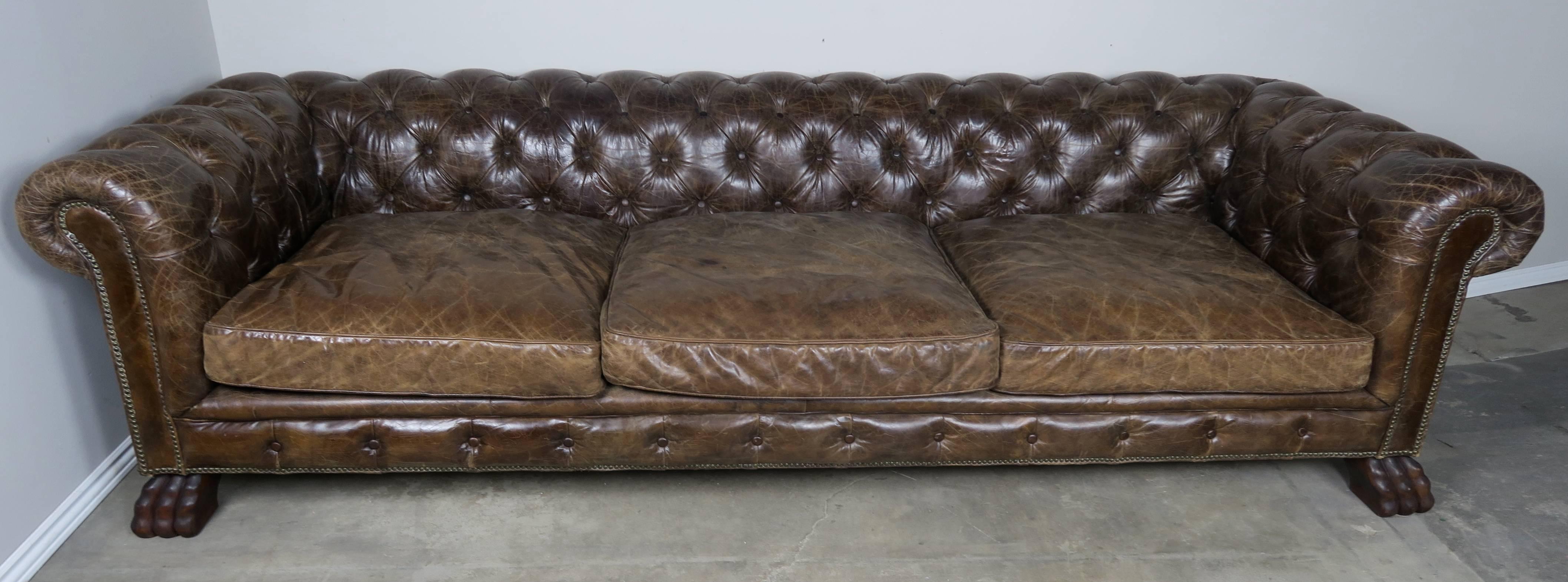 Offered by Melissa Levinson Antiques


English leather tufted Chesterfield style sofa with nailhead trim detail and three loose cushions resting on large hand-carved lion paw feet. Seat height 20".
 