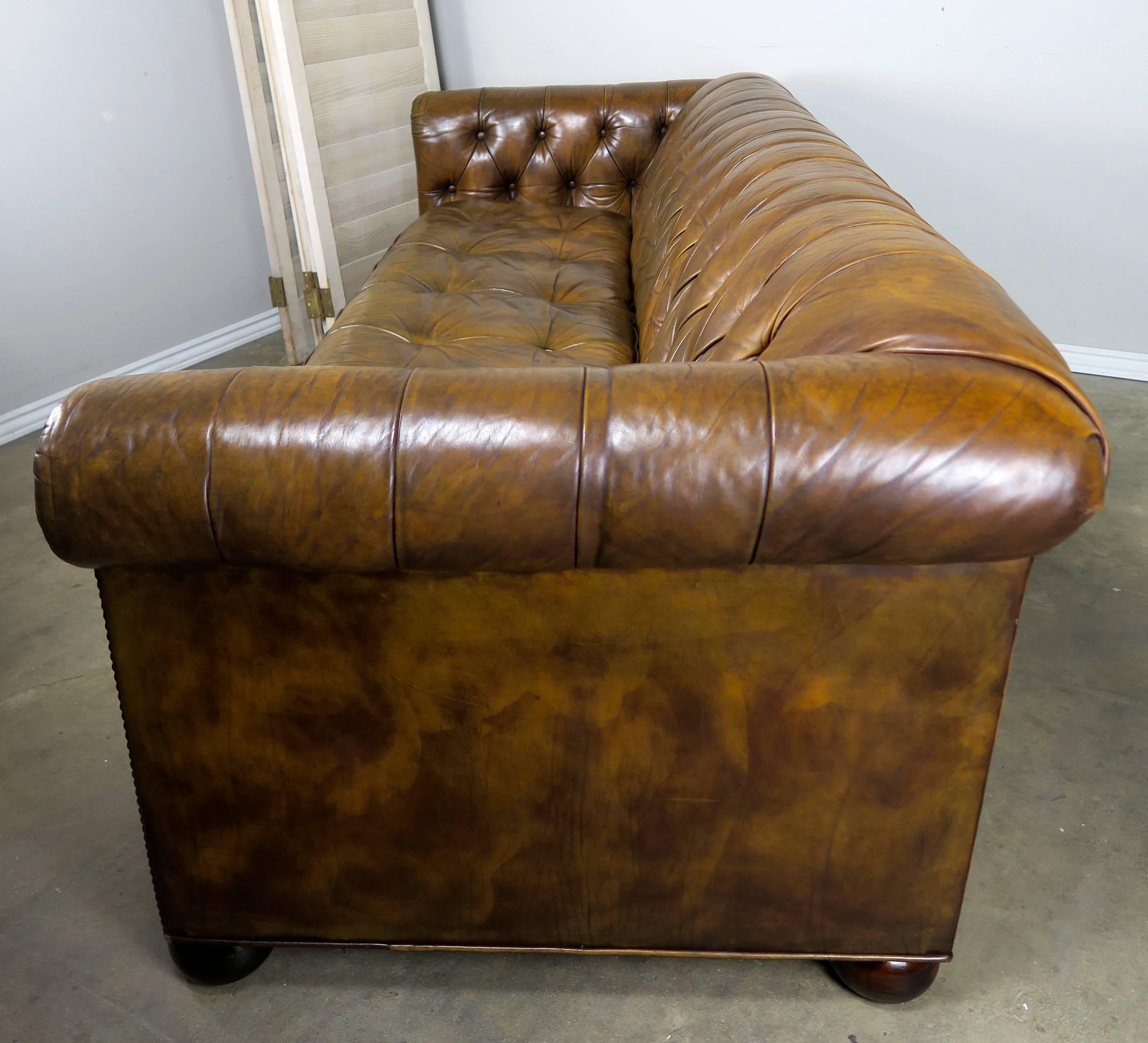 Rich brown English tufted leather Chesterfield style sofa standing on six ebonized bun feet and finished with nailhead trim detail. Beautiful worn leather. Single leather tufted seat cushion. Seat height 17.5