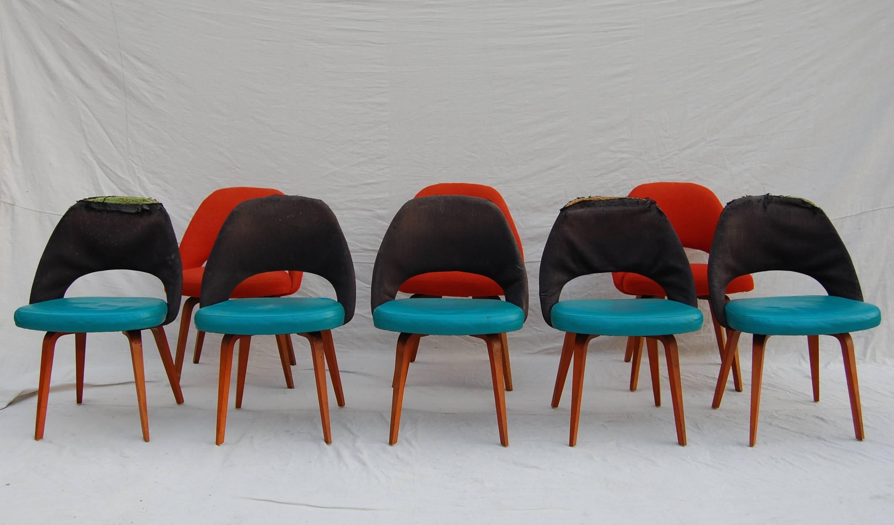 Set of Ten Saarinen for Knoll Executive/ Dining Chairs, Wood Legs In Excellent Condition In Philadelphia, PA