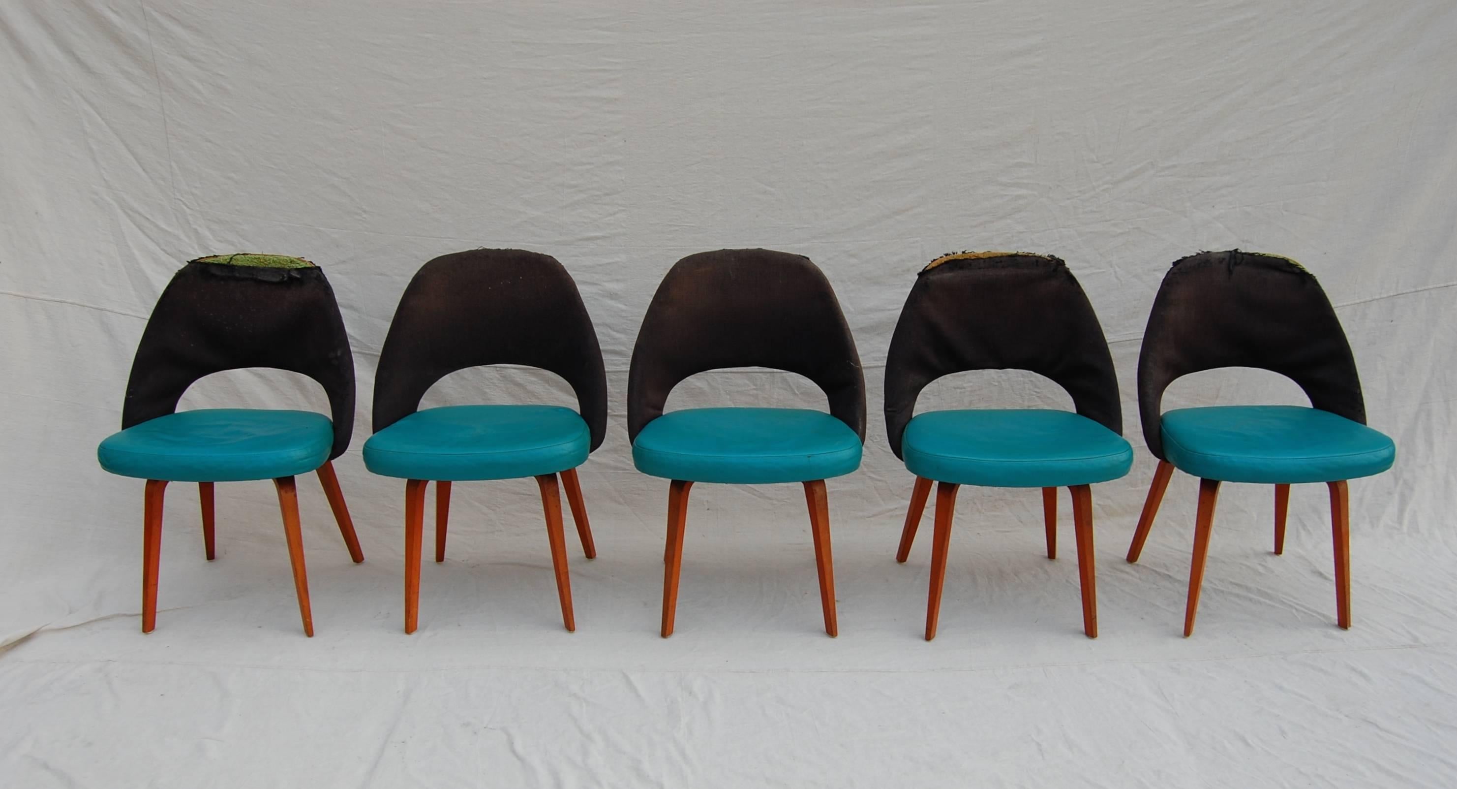 Large set of Saarinen wood legged dining chairs, nine armless and one armed chair. Price includes having them reupholstered in your choice of fabric! Price includes having them professionally done; you just supply your choice of fabric! All foam