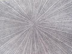 Angela Adams Grace Carpet