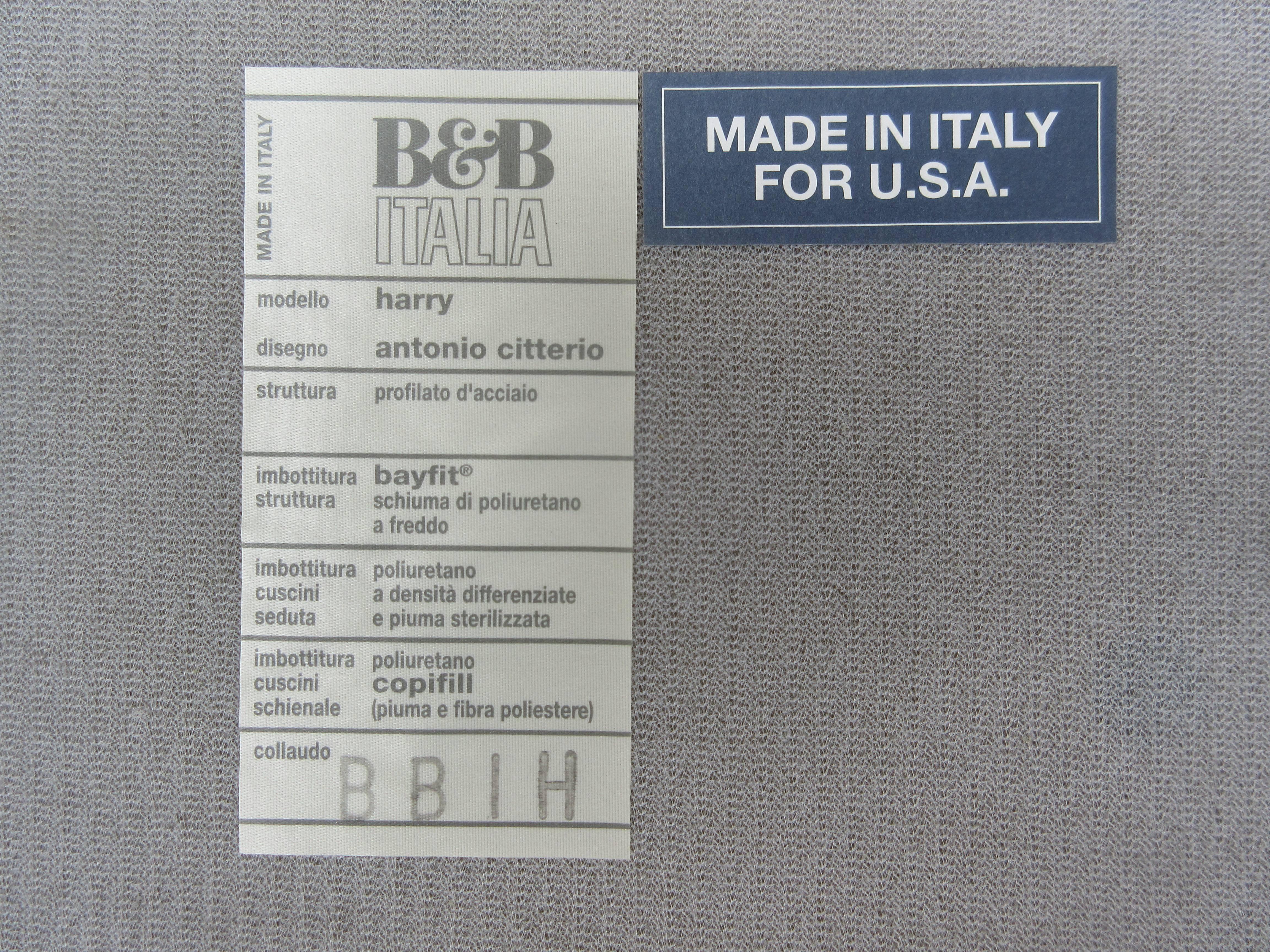 Italian Antonio Citterio for B&B Italia Harry Lounge Chair and Ottoman