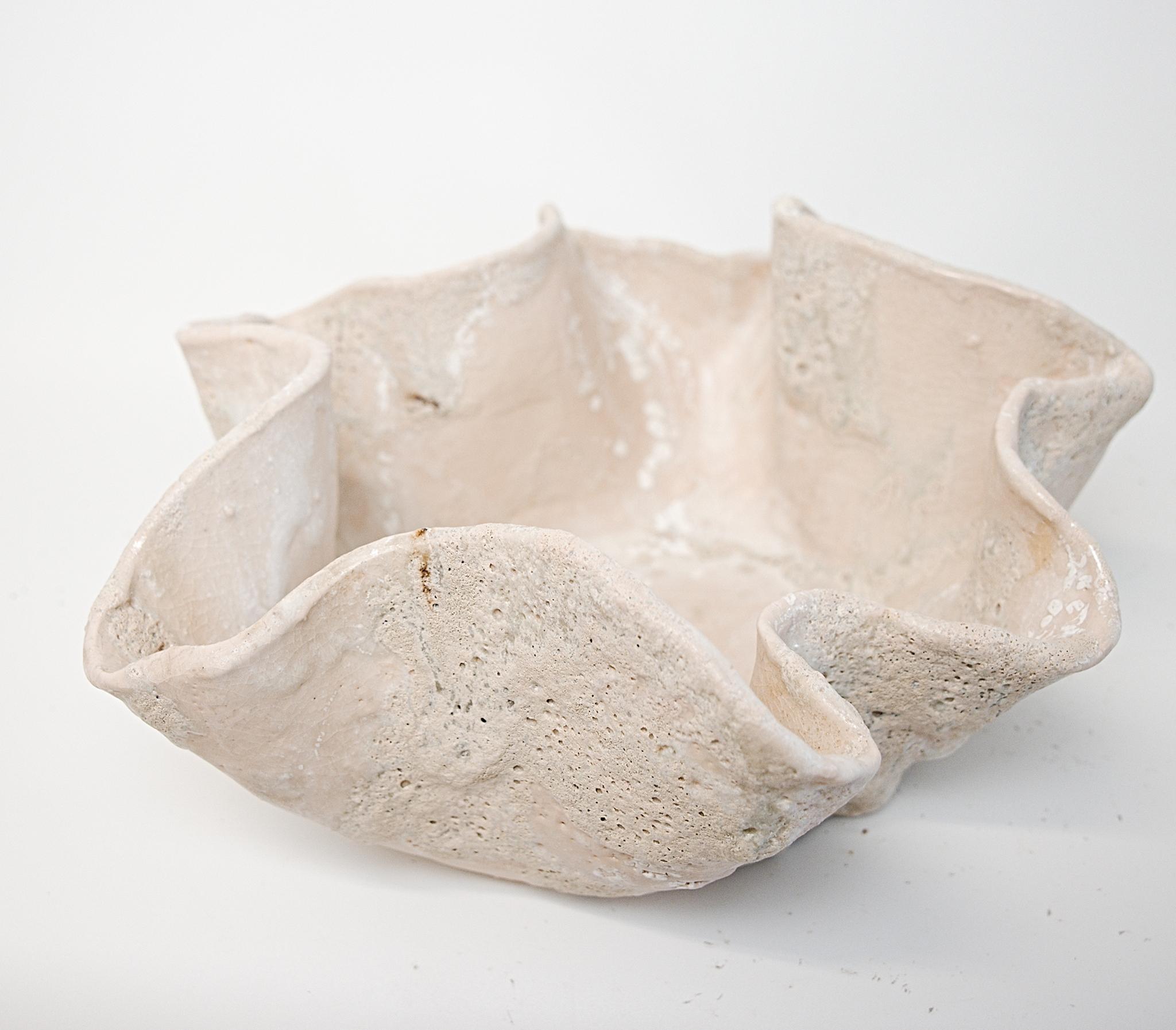 American Reef Sculpted Ceramic Bowl free style Textured- Low Bowl For Sale