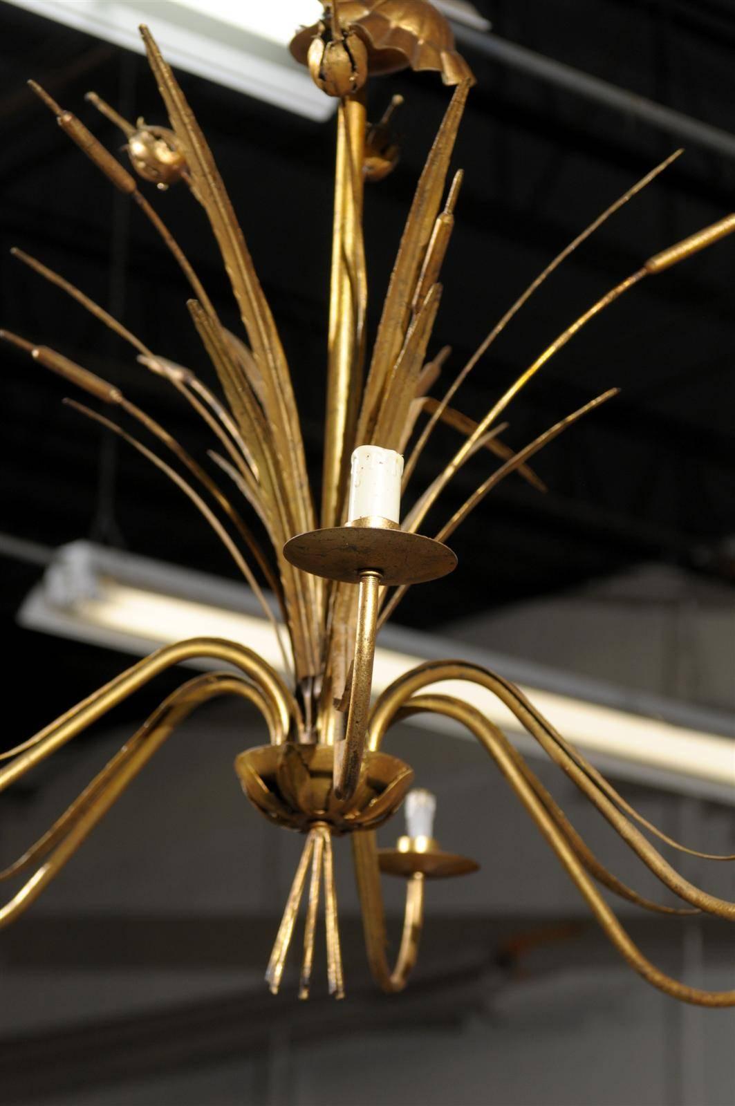 Mid-Century Six Light Gilded Chandelier from France, circa 1950 2