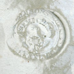 Lake George, State of New York Staffordshire Platter by Enoch Wood & Sons