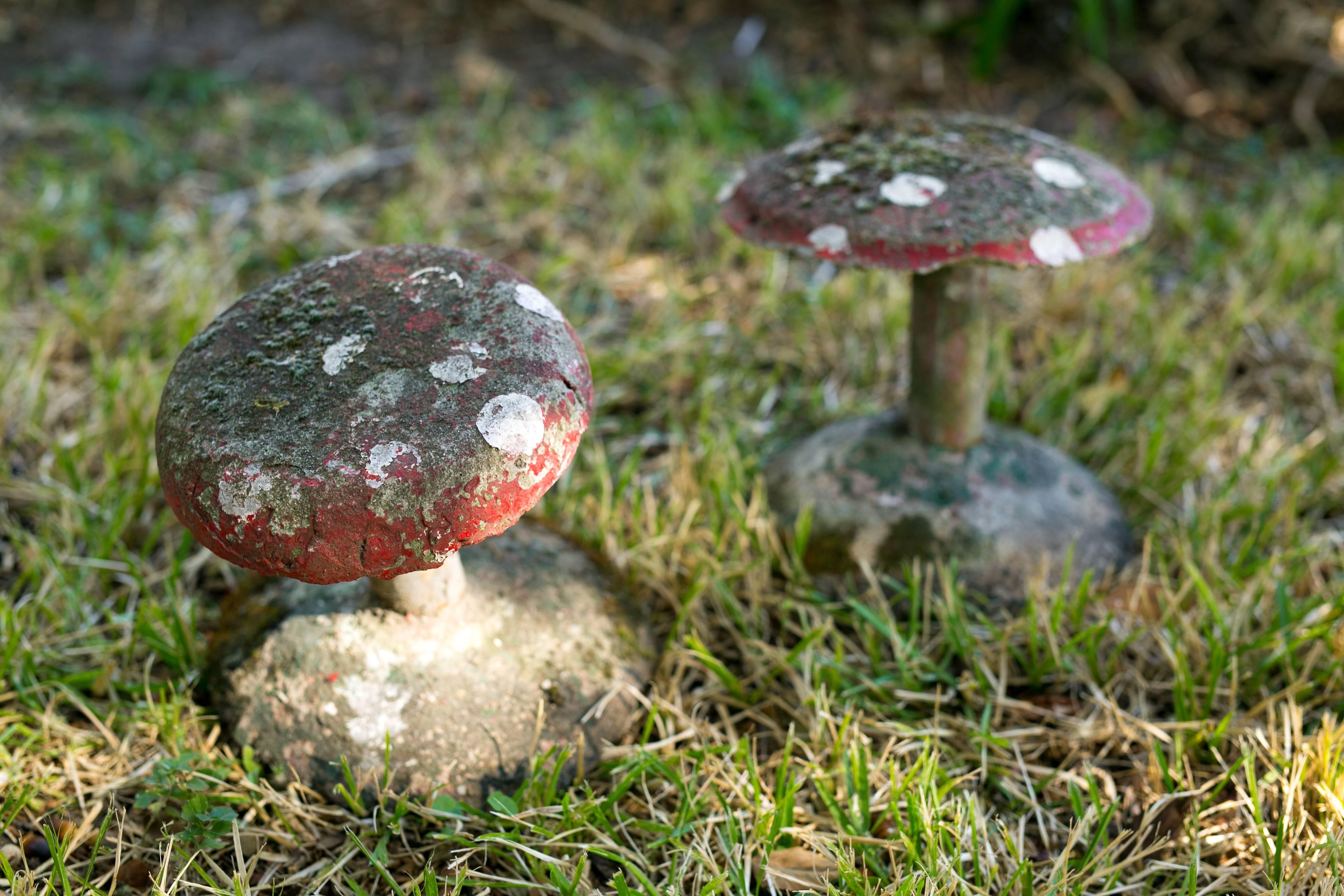 Other Pair of Vintage Concrete Mushrooms