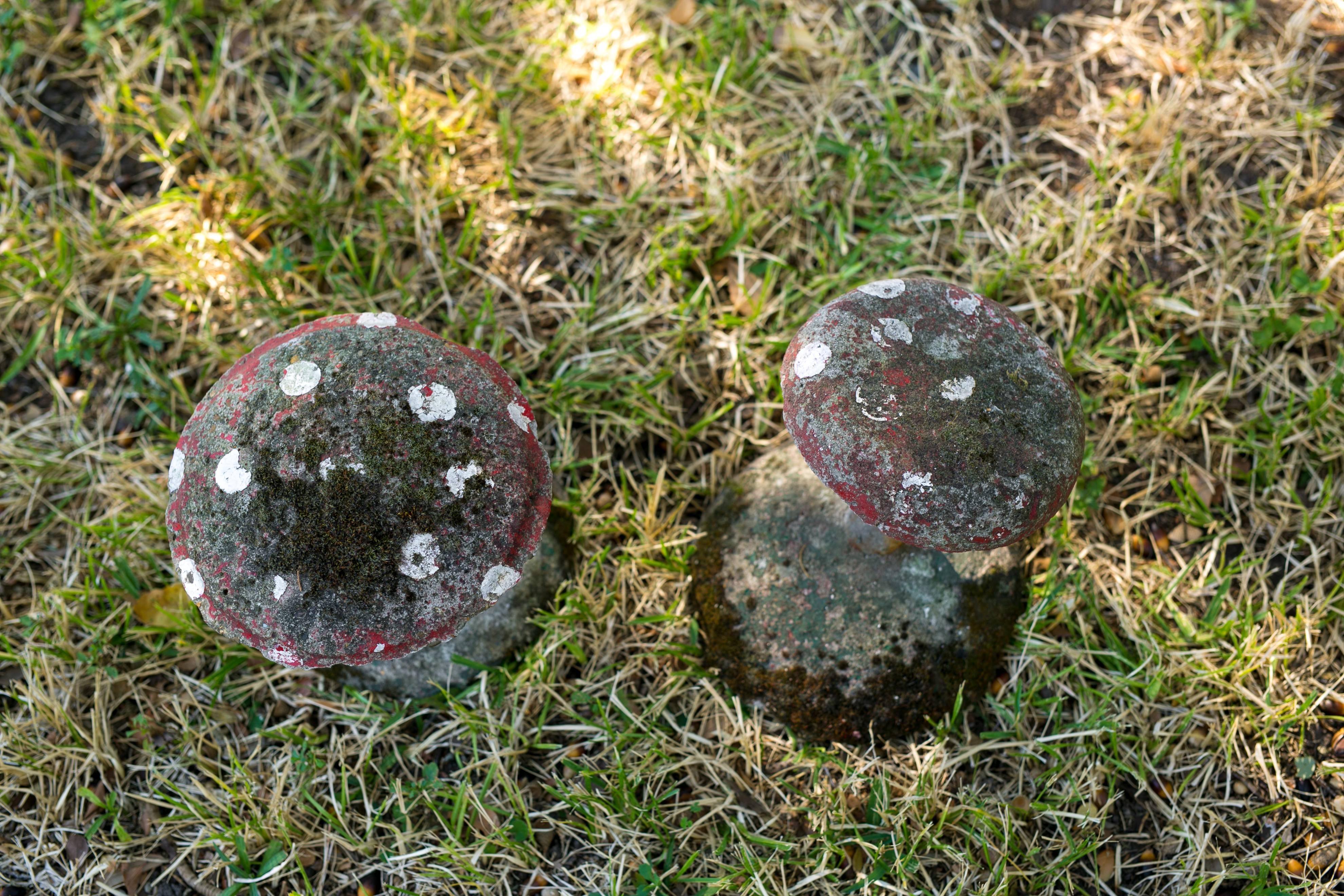 French Pair of Vintage Concrete Mushrooms