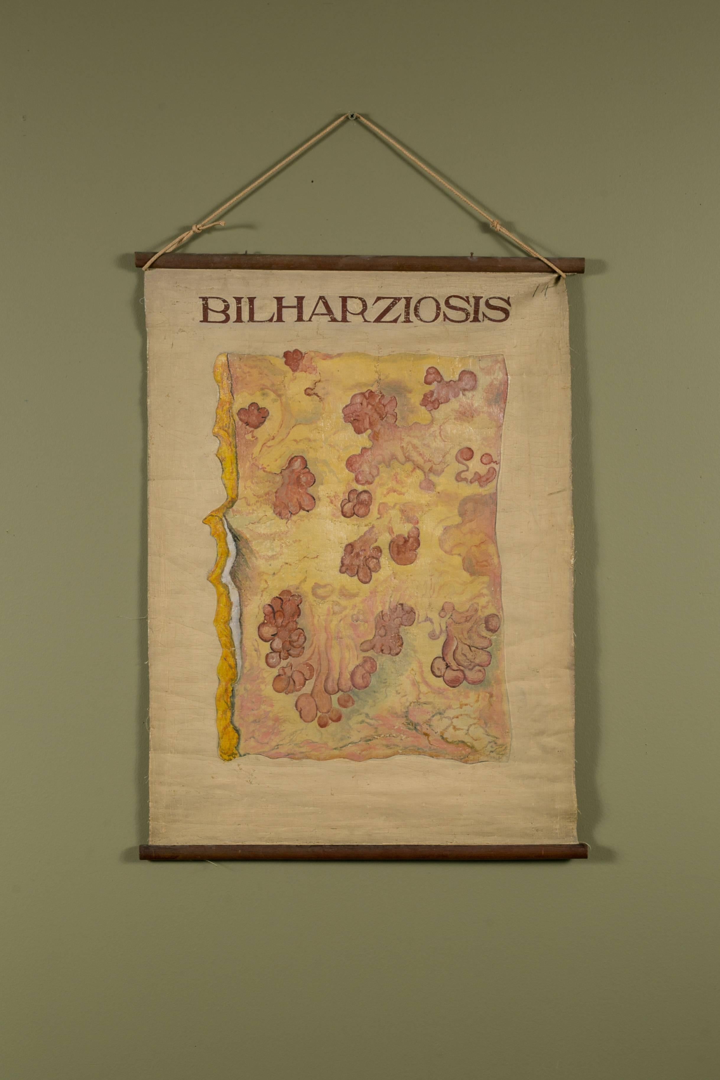 Art Nouveau Set of Three Hand-Painted Teaching Charts of Aquatic Parasites and Diseases