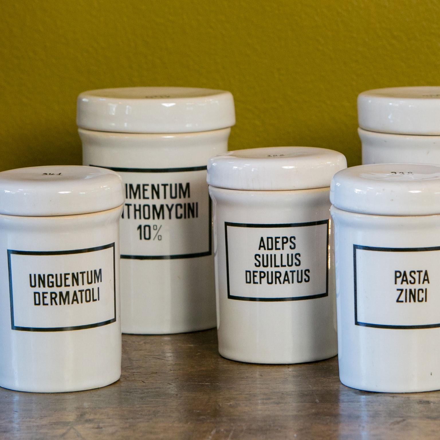 Czech Set of Seven Ironstone Pharmacy Jars with Black Labels in Latin For Sale