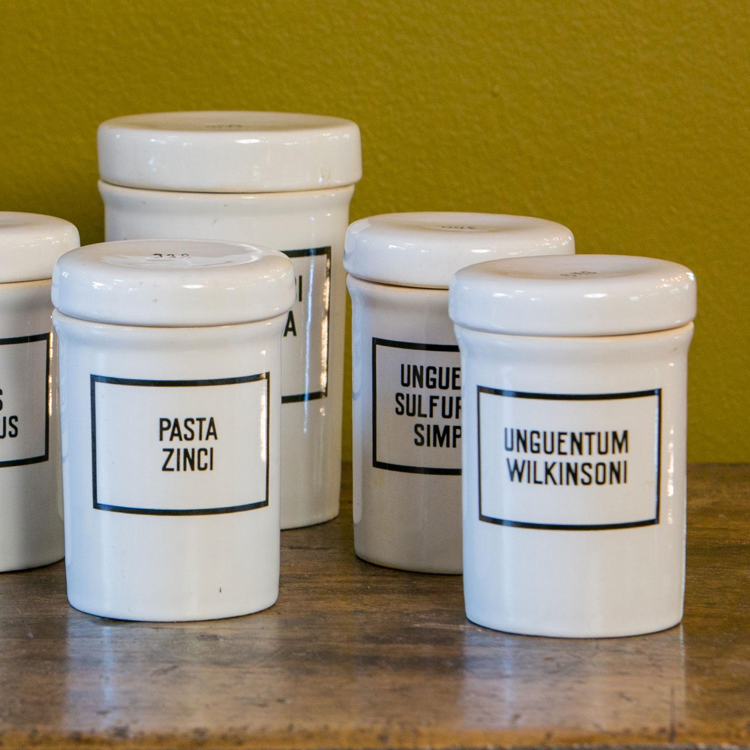 Hand-Painted Set of Seven Ironstone Pharmacy Jars with Black Labels in Latin For Sale