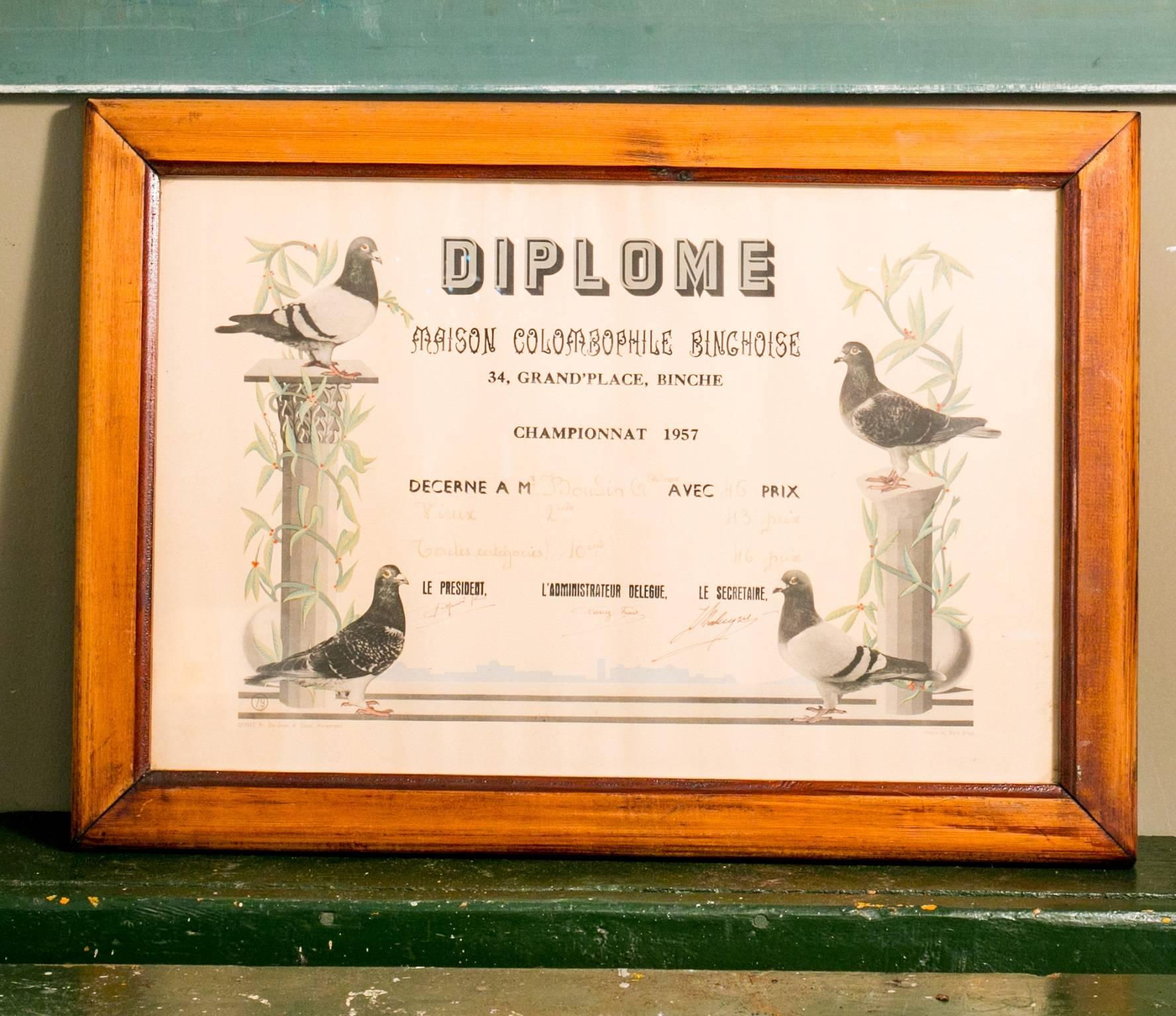 Set of four framed diplomas. These were presented to the owners of the winning pigeons following a Belgian pigeon race. Various regions in Belgium and various dates, ranging from 1954-1957. Size listed below is for the largest print. Smallest