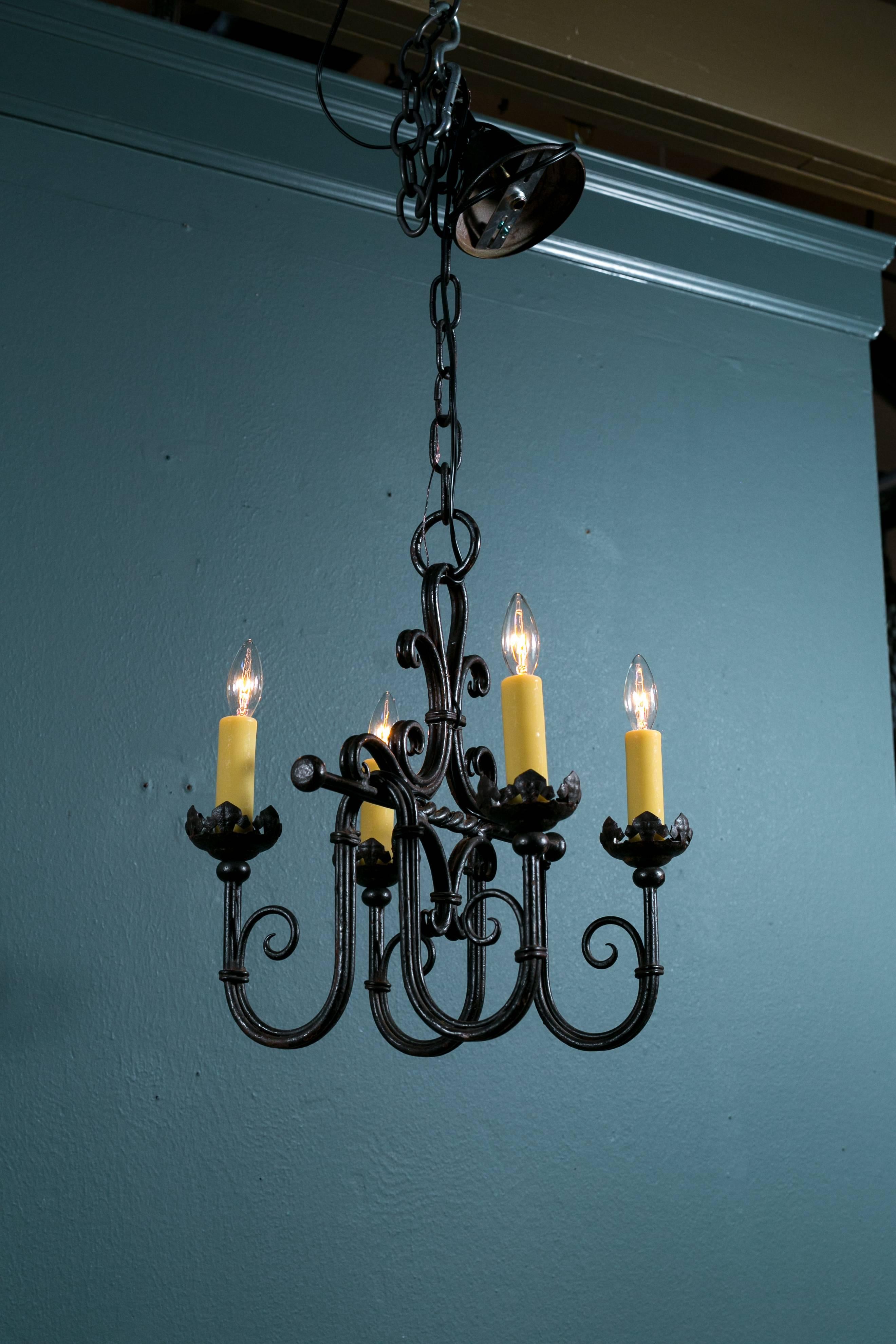 Petite European wrought iron chandelier. Would be perfect for a small kitchen island, butler's pantry or bar. Newly rewired for use in the USA with all UL approved parts and four candelabra sockets. Comes with matching chain and canopy.