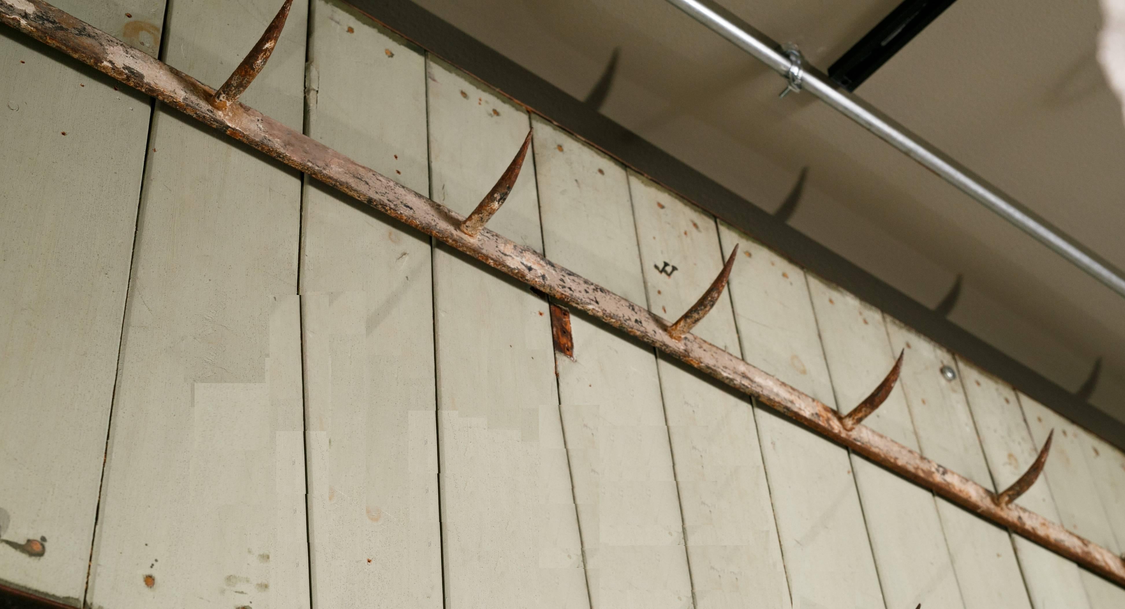 Over-painted pot rack from Butcher shop in Belgium, circa 1920. Seven stationary hooks on one long bar. Pretty cream over rust colored finish.  Would make a good pot rack or hat rack.