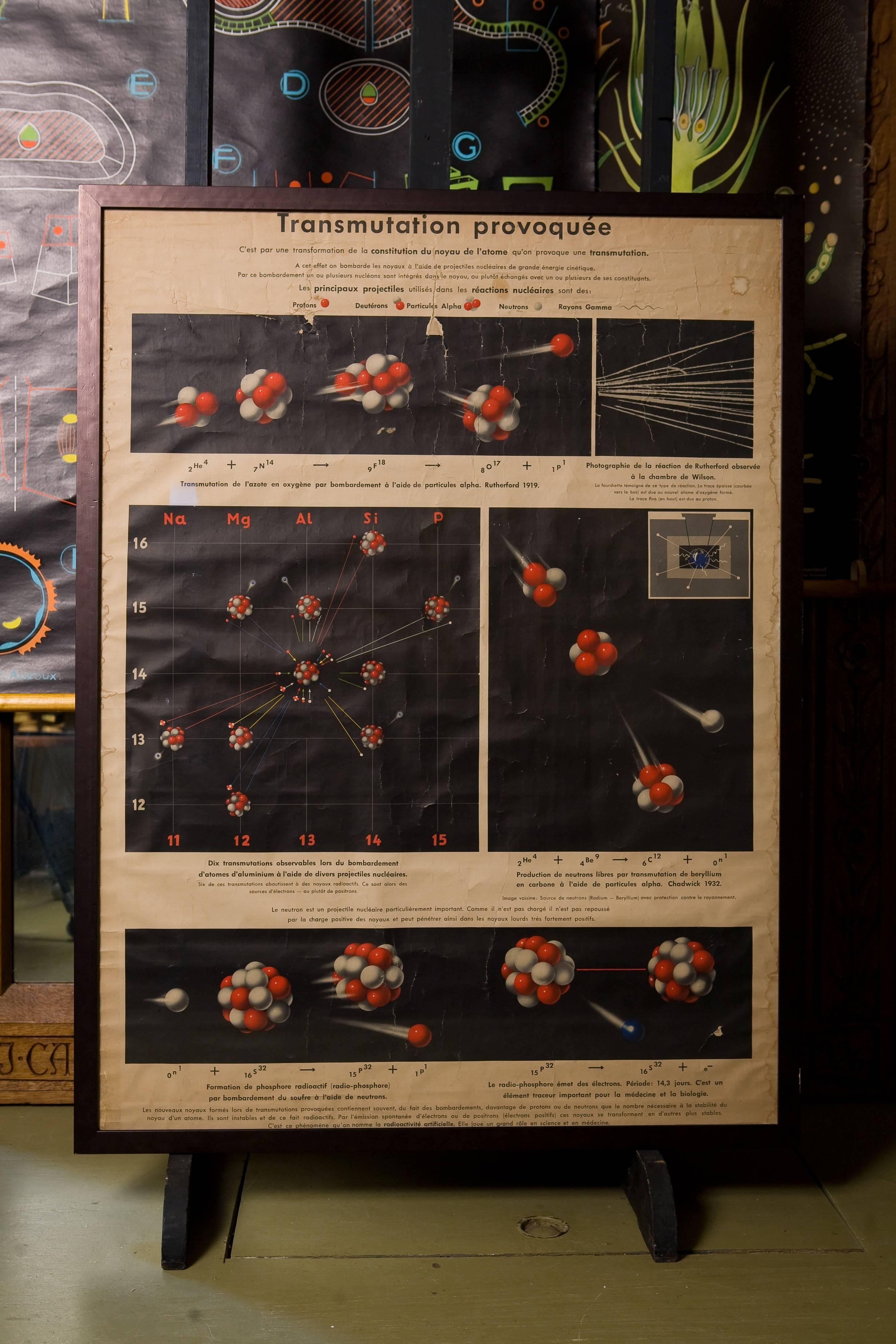 Atom nuclear transmutation chart with great graphics and colors.  Was used in a Belgian school house, circa 1950.  Written in French.  Printed on paper and framed behind glass.