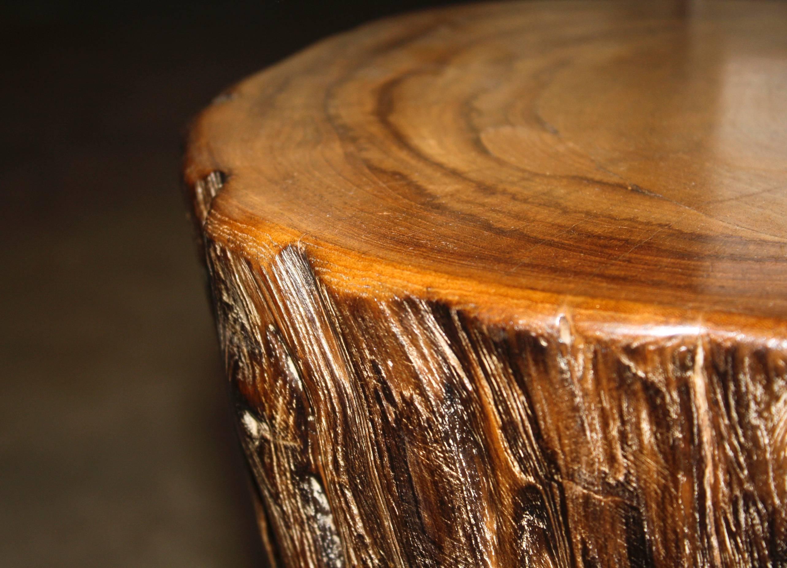 American Petrified Teak Stump