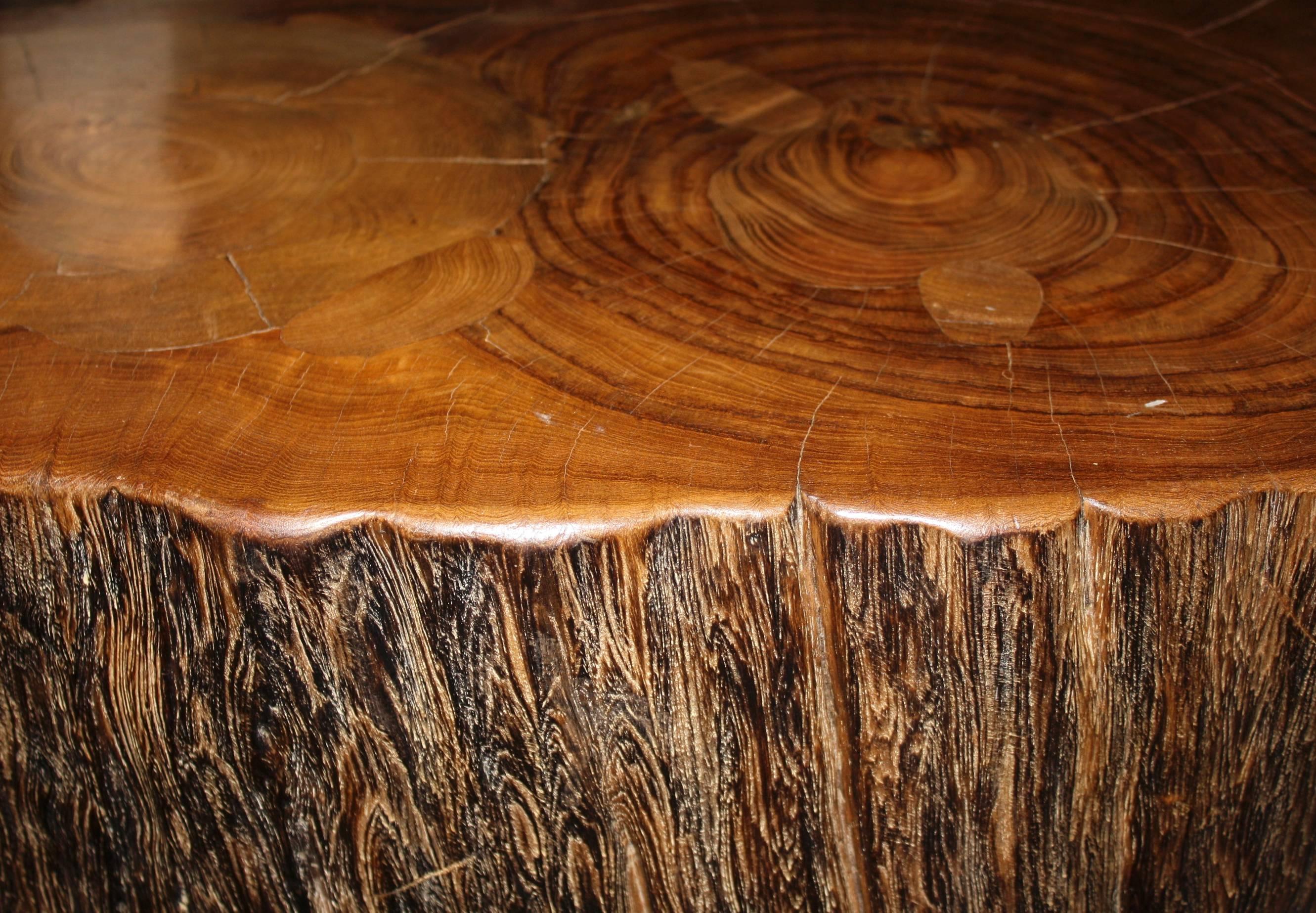 Petrified Teak Stump In Excellent Condition In Houston, TX