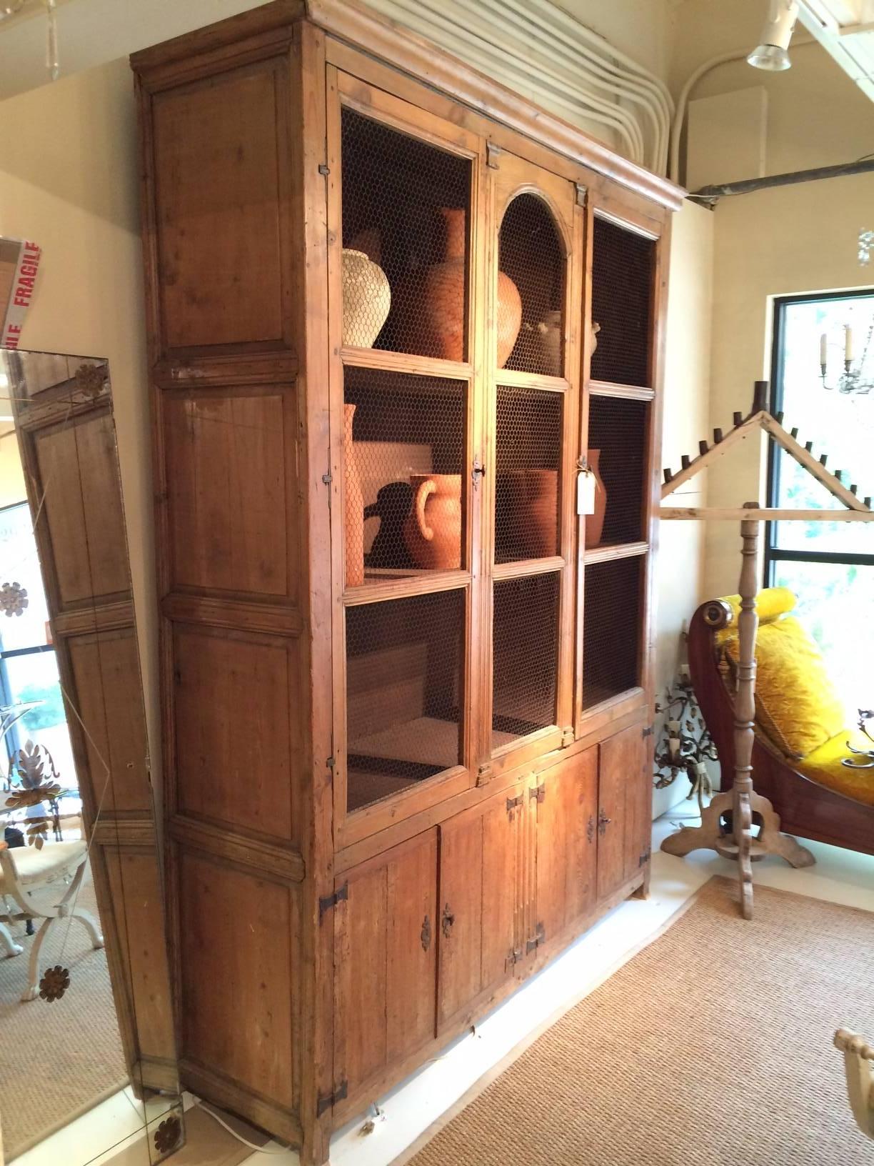 Handsome pine cabinet with two doors inset with wire grill. Beautifully molded doors and ends with central pilasters with capitals. Unusual hinges.