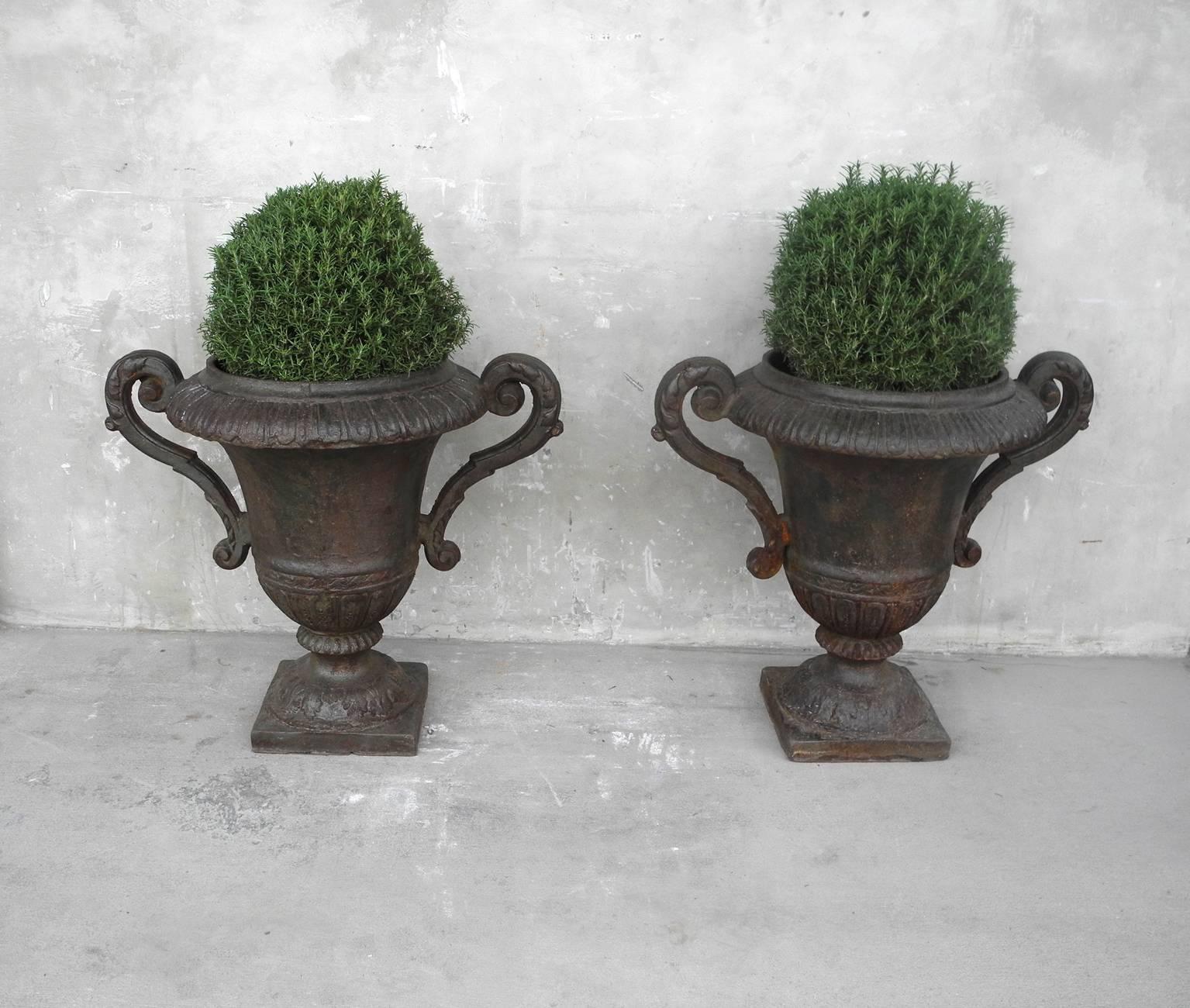 This is a reclaimed pair of antique 19th century French garden urns. They are made of iron and an exact pair, so they are perfect for flanking in a garden space. They can stand alone or with greenery added. They have beautiful carved detailing, as