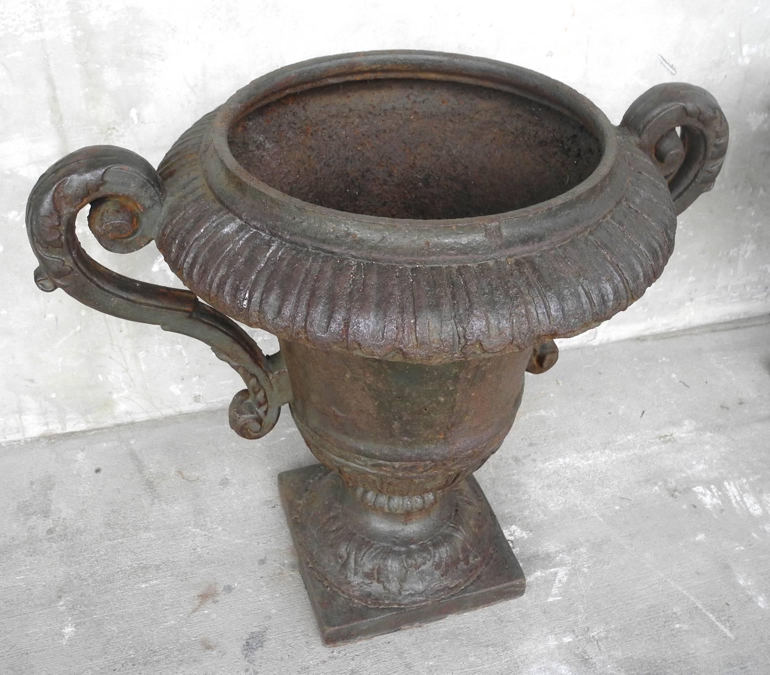 Pair of Antique Iron Urns with Detailing & Carved Arms from 19th Century France In Good Condition For Sale In Houston, TX
