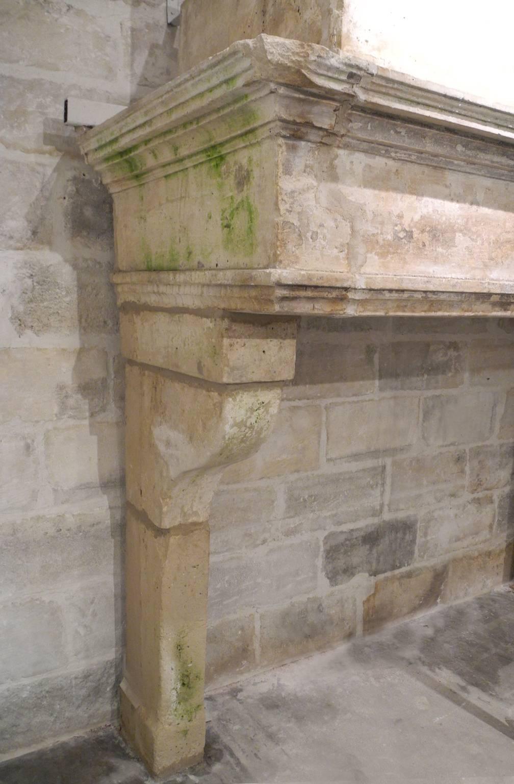 French Antique 18th Century Fireplace from the Franche-Compte Region of France For Sale