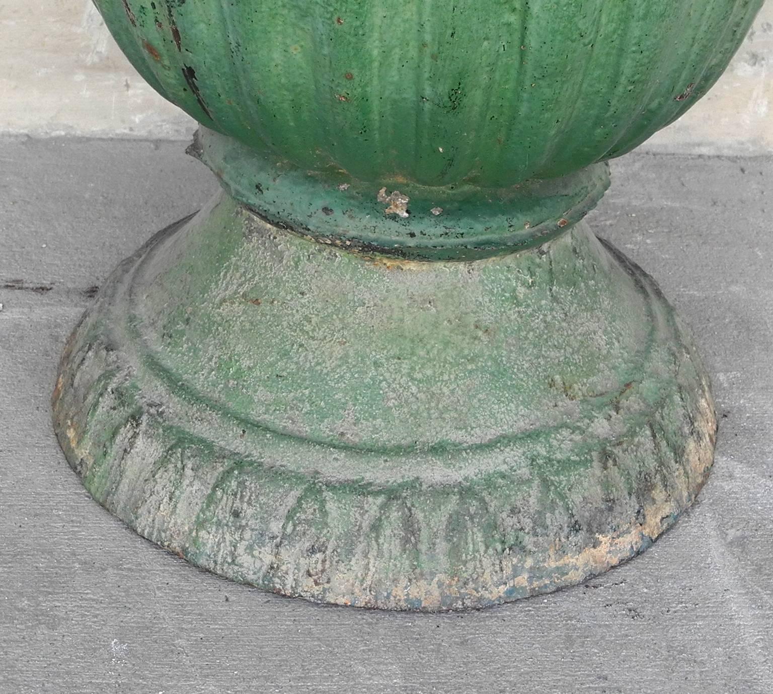 Antique Late 17th Century Green French Iron Planter with Crest  For Sale 2