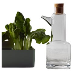 Caraffa da picnic Kosta Boda con coperchio in sughero