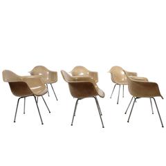 Early DAXs Set of Six Charles and Ray Eames