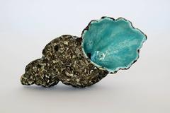 Marcello Fantoni Decorative Sea Shell