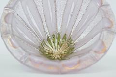 Cuenco Higgins Glass