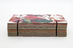 Charles Eames House of Cards