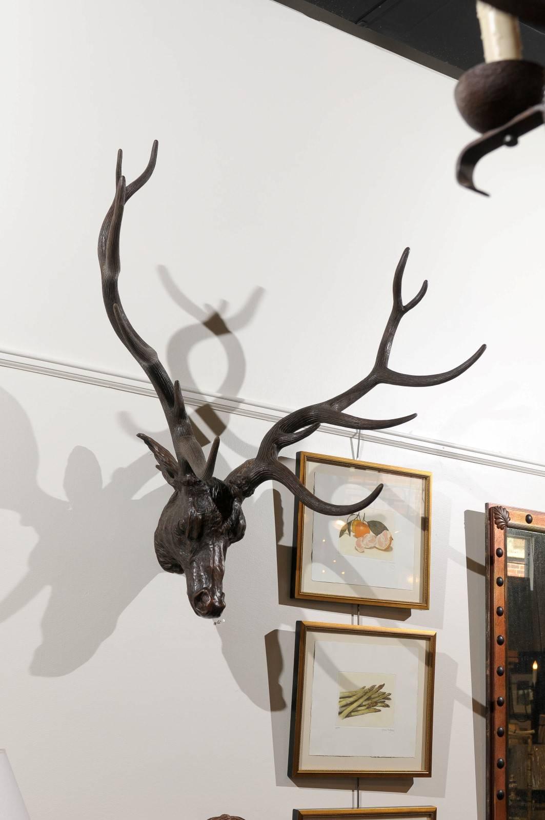 Black Forest Carved Stag Head 3