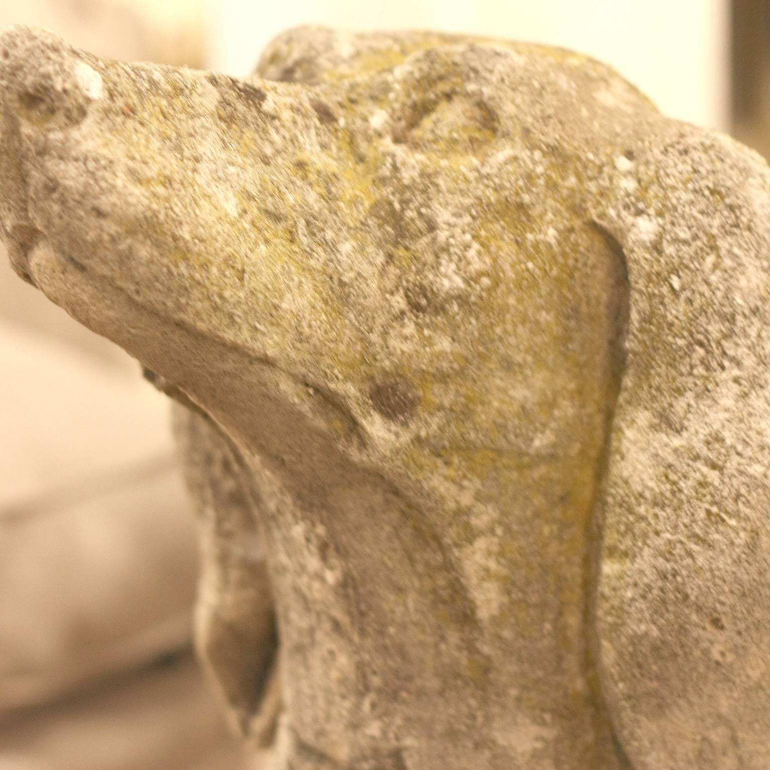 Pair of 18th Century Concrete Talbot Hound Sculptures from Maggiore, Italy 1