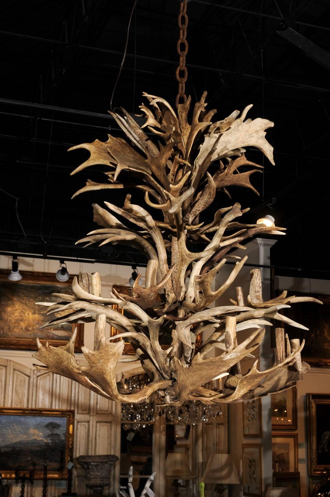 1940s Naturally Shed Antlers Chandelier with 16 Lights, Wired for the US 1