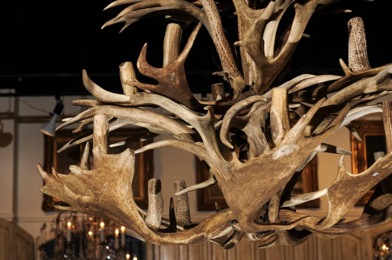 1940s Naturally Shed Antlers Chandelier with 16 Lights, Wired for the US 3