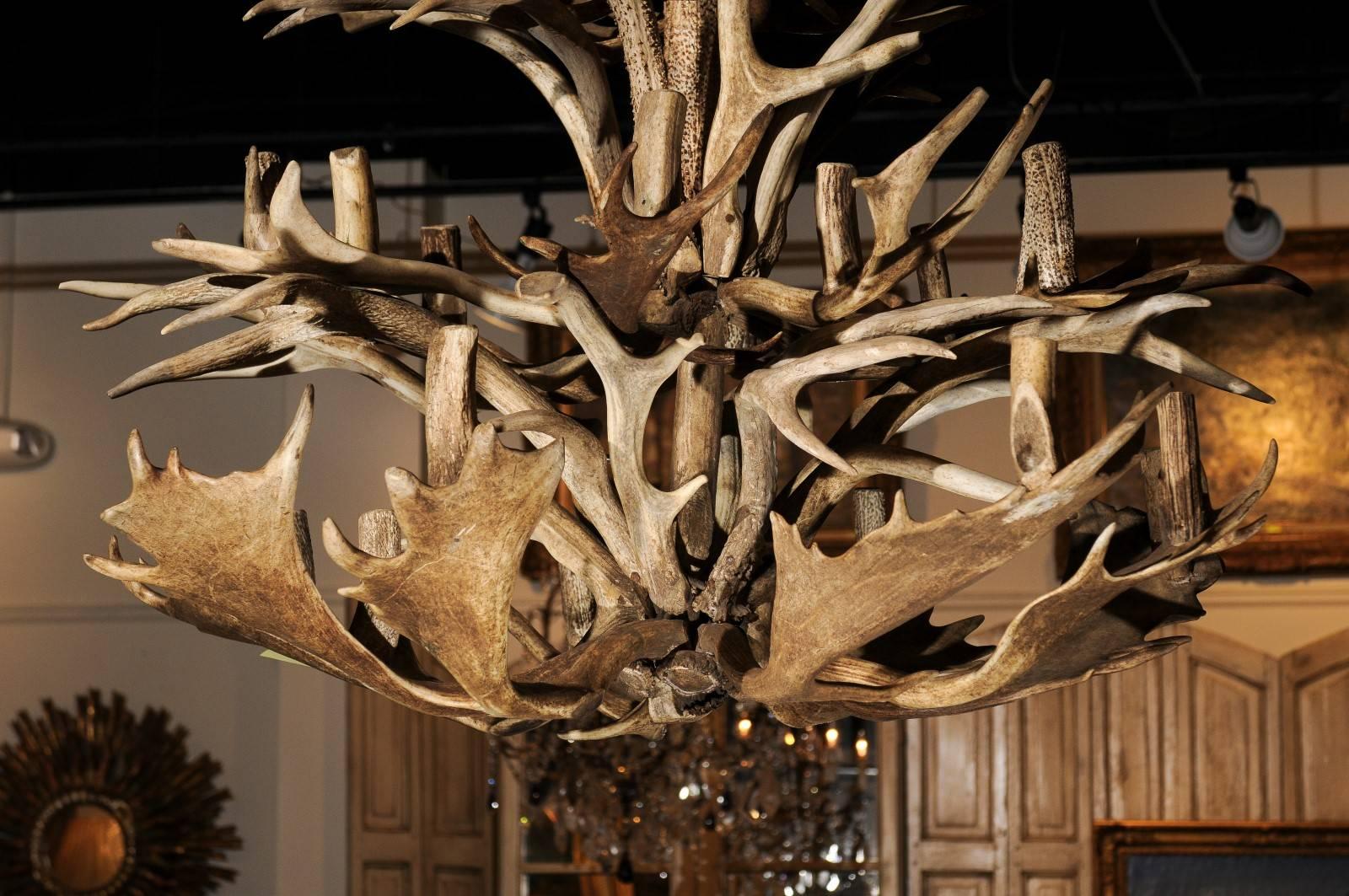 1940s Naturally Shed Antlers Chandelier with 16 Lights, Wired for the US In Good Condition In Atlanta, GA