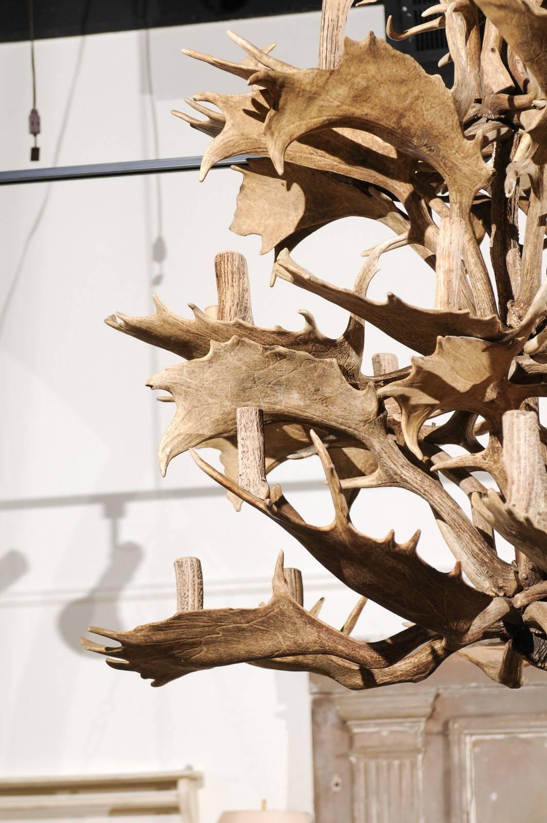 European Naturally Shed 24-Light Antler Chandelier from the 1940s, Rewired for the US
